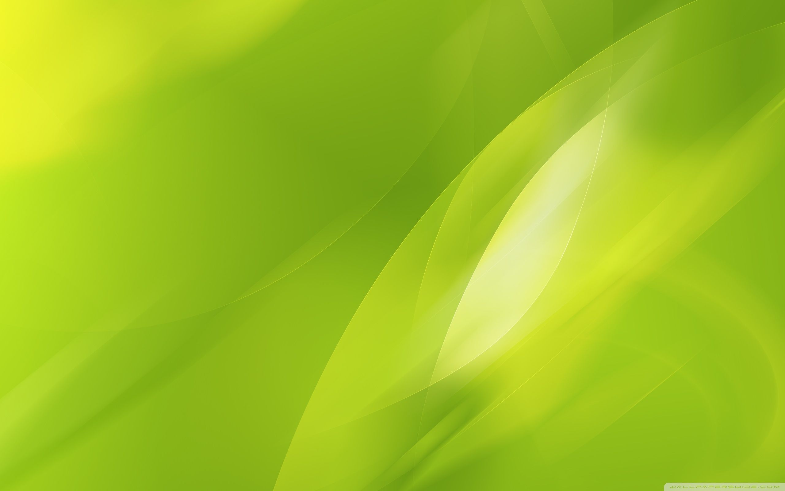 Green Abstract Wallpaper