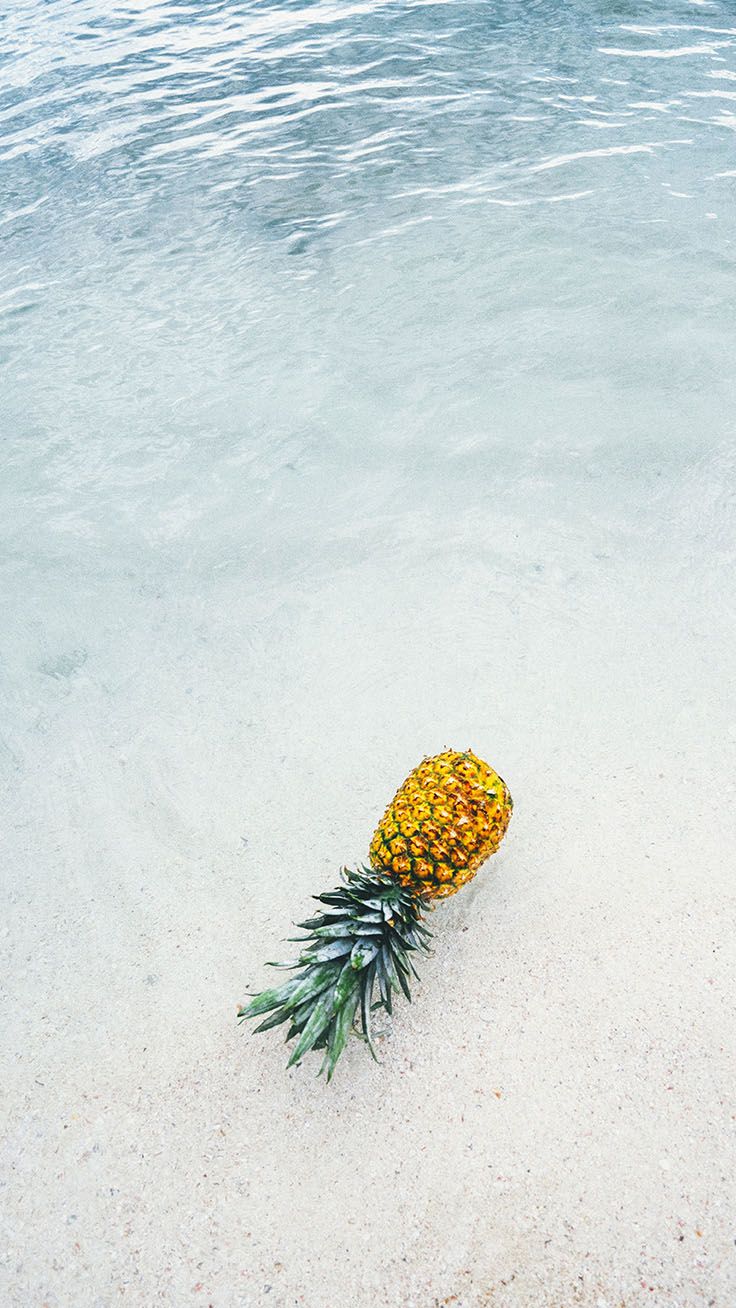 Summer Phone Wallpaper