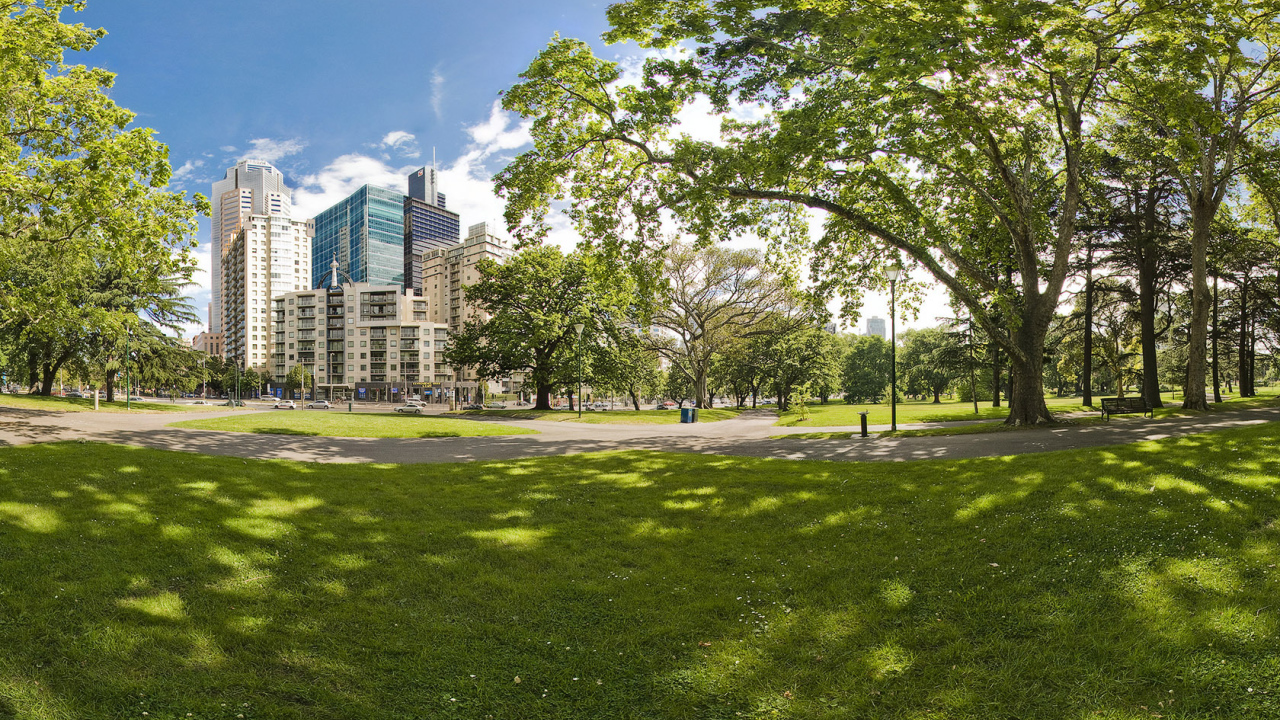 City Park in summer Desktop wallpaper 1280x720