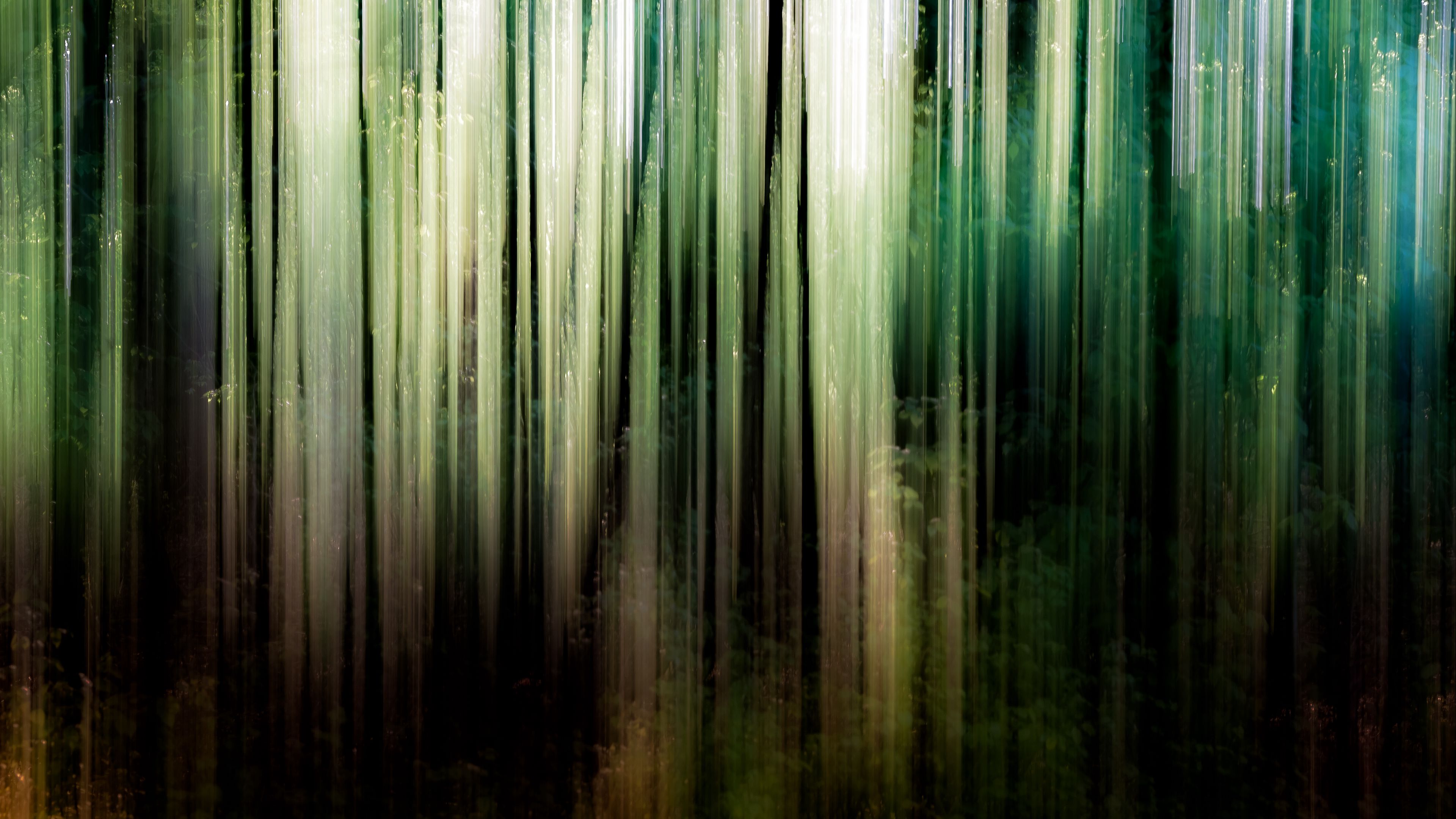 Wallpaper / abstraction, stains, trees, spring, 4k free download