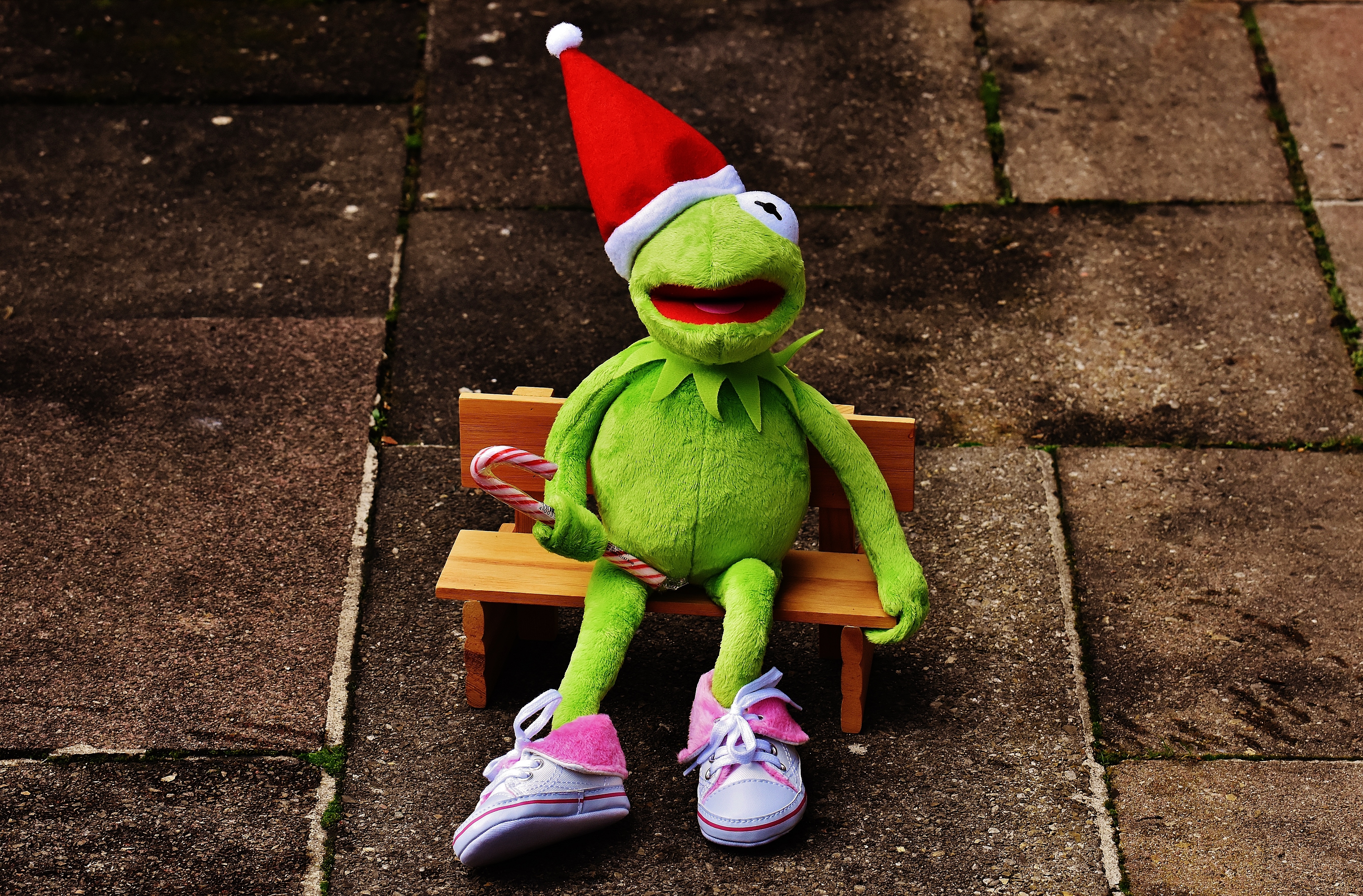 Free Image, cute, spring, green, red, color, child, clothing, frog, yellow, christmas time, santa hat, fun, figure, funny, stuffed animal, kermit, greeting card, children toys, soft toy 5352x3519
