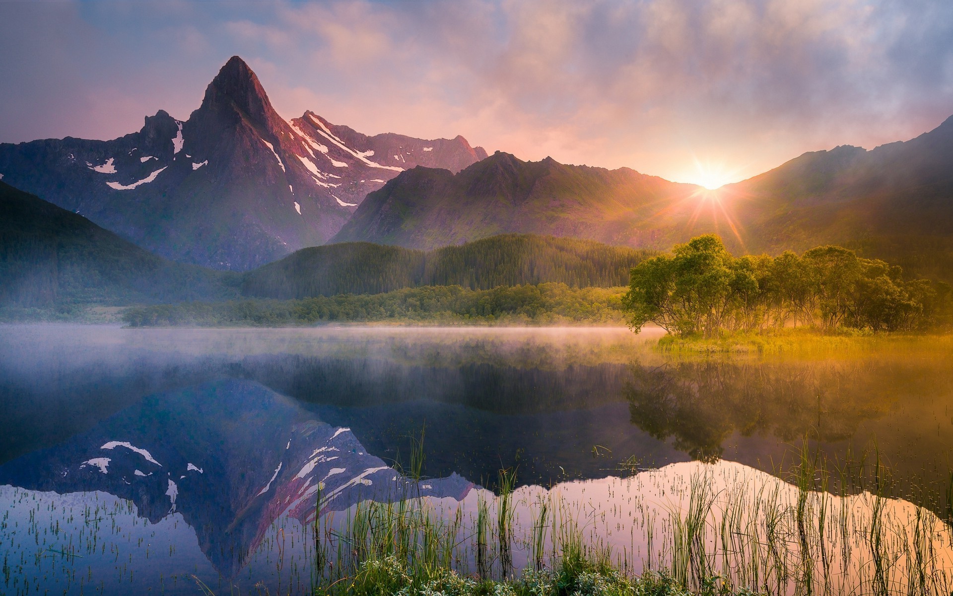 nature landscape lake sunrise reflection water summer mountain mist norway trees forest wildflowers Gallery HD Wallpaper