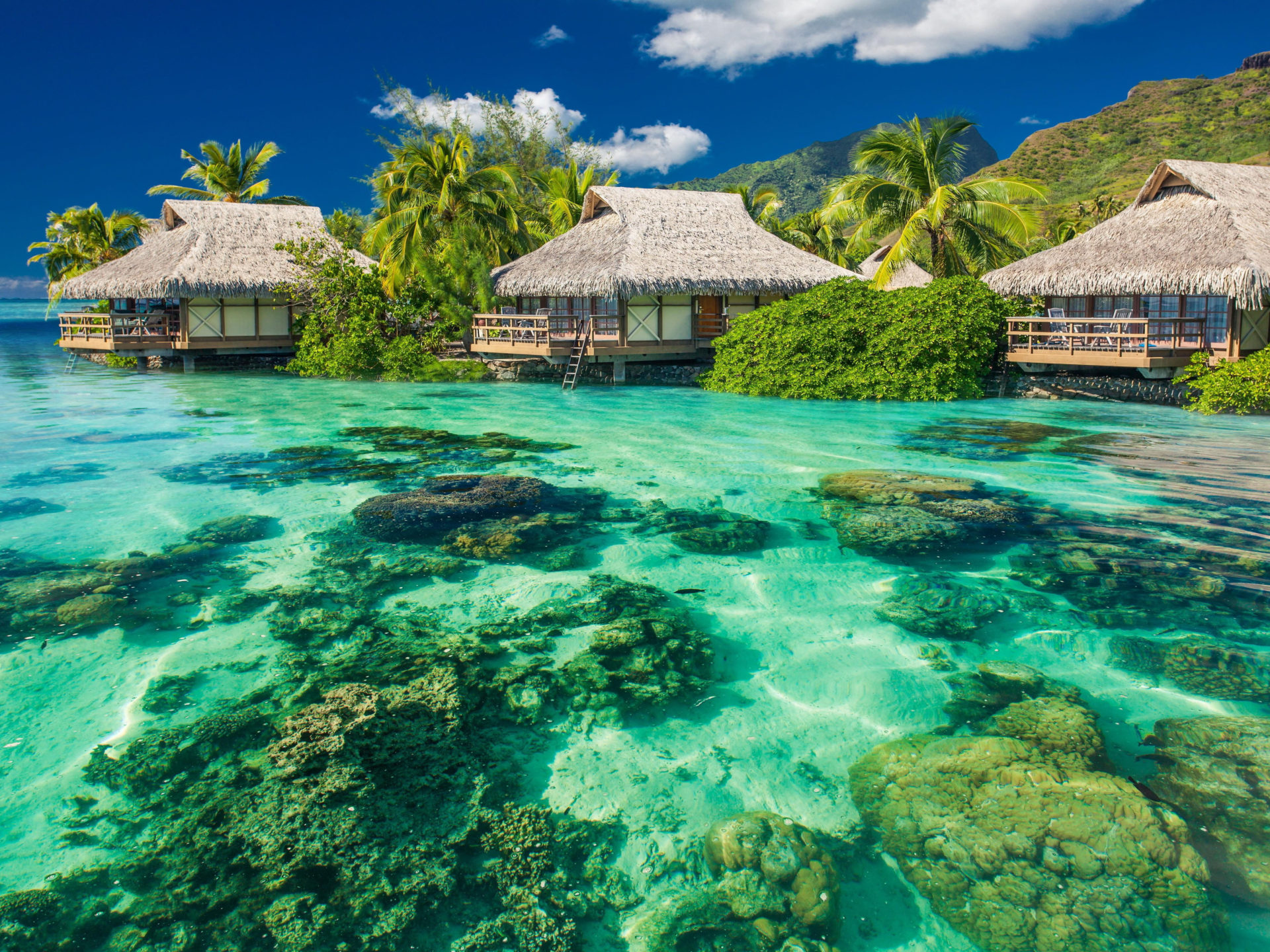Summer Holiday Tropical Beach, Palm Trees, Translucent Sea Ocean Sun Roof Wooden Huts With Straw Florida United States Desktop Wallpaper HD 5200x3250, Wallpaper13.com