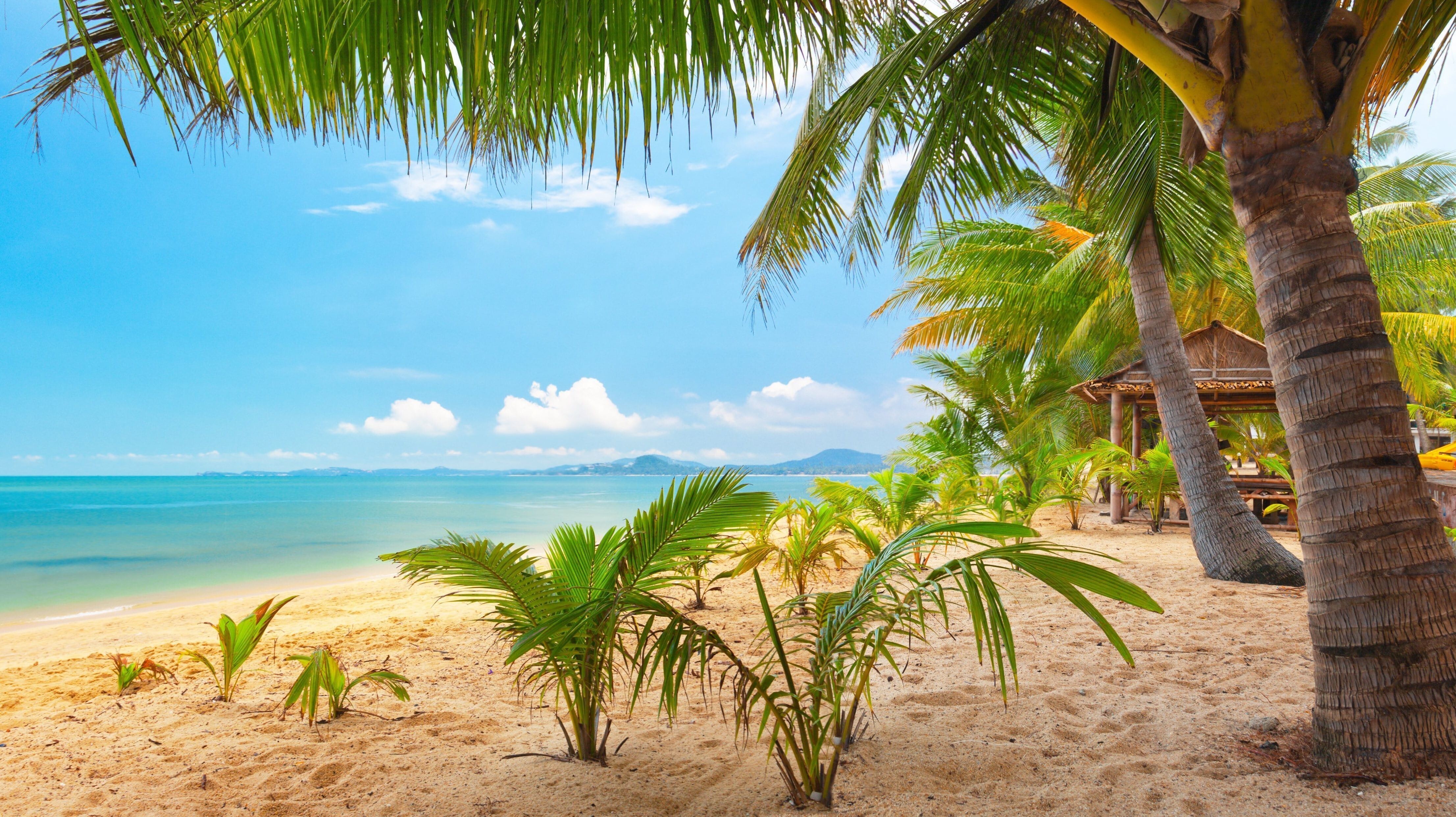 Beautiful Clearwater Beach in Florida US Wallpaper