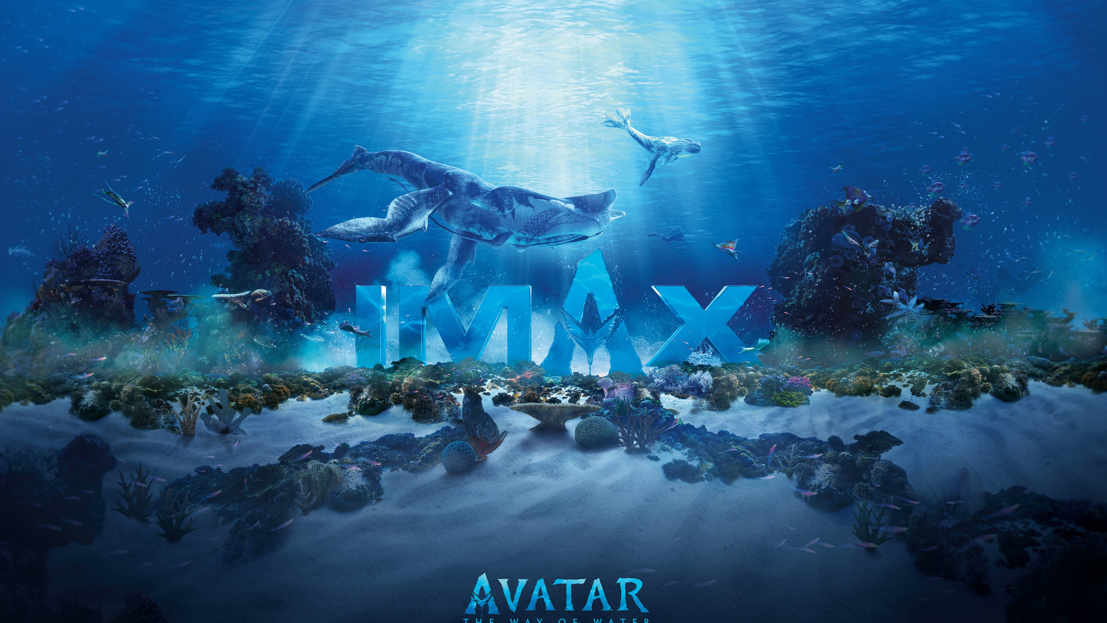 Avatar: The Way of Water Wallpaper 4K, IMAX poster, Underwater, Movies