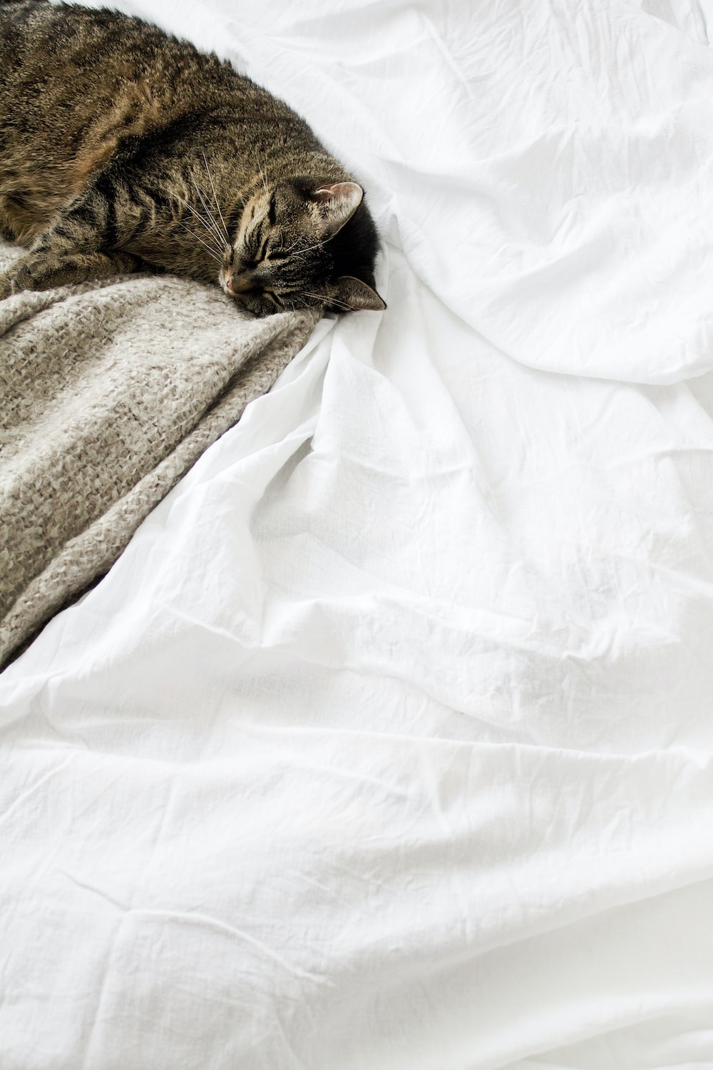 Bed Sheets Picture [HD]. Download Free Image
