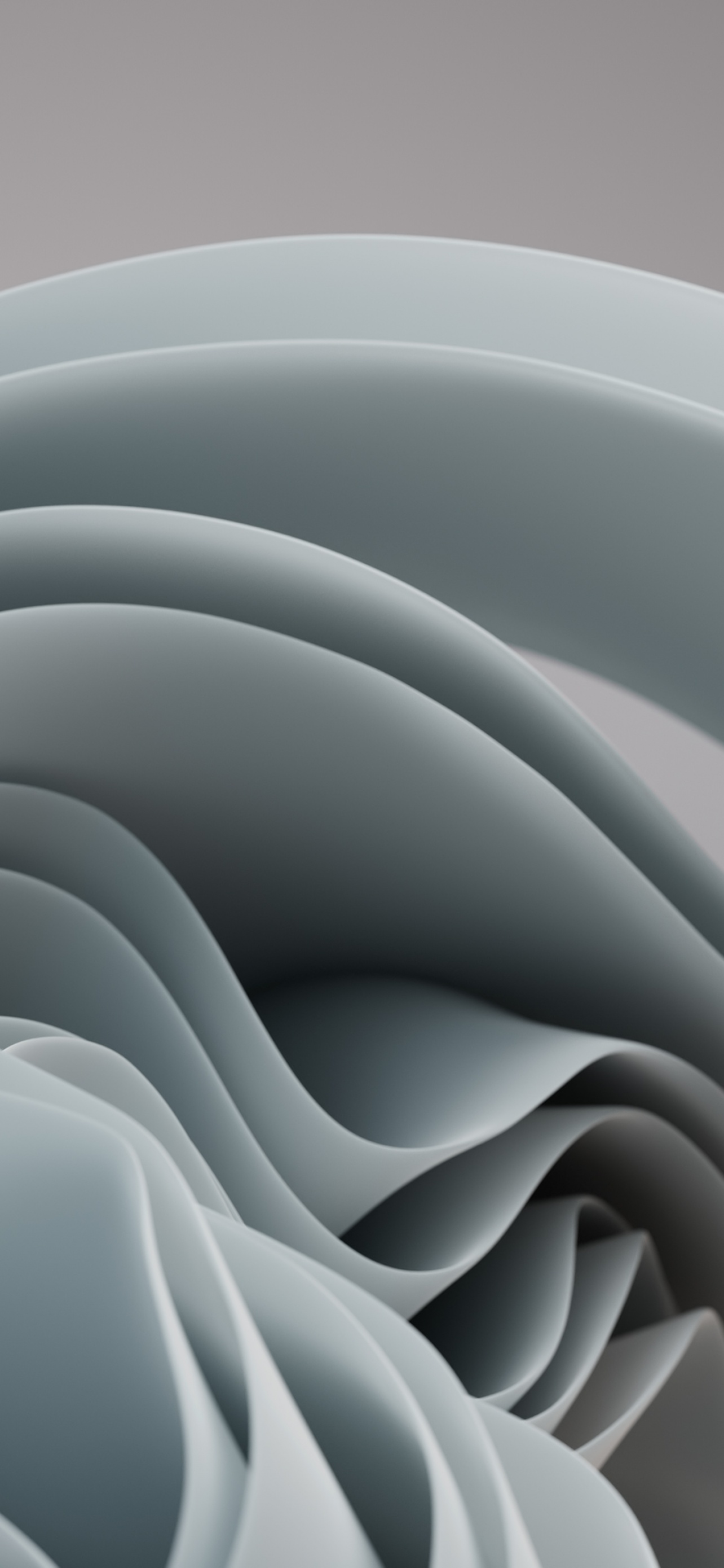 Windows 11 Wallpaper 4K, Stock, Official, Light, Abstract