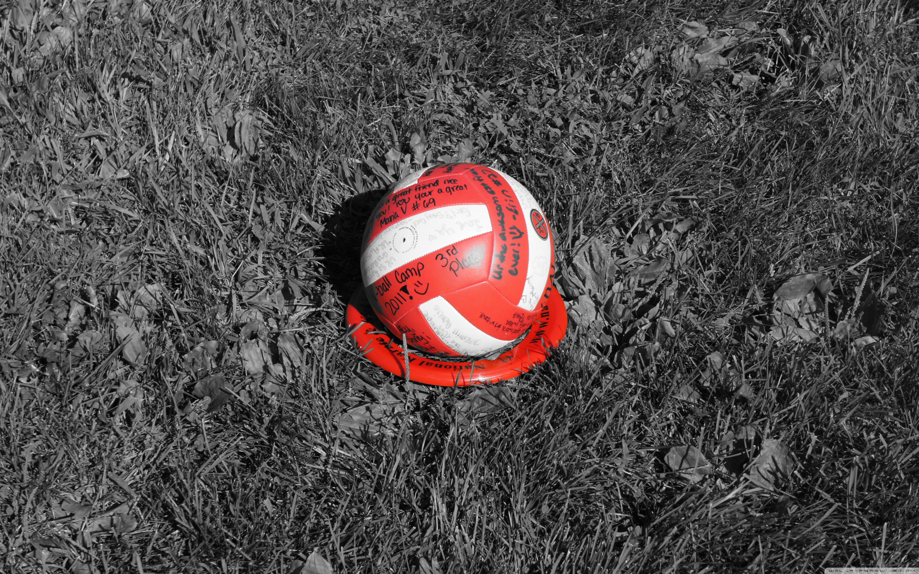 Volleyball Ultra HD Desktop Background Wallpaper for 4K UHD TV, Multi Display, Dual Monitor, Tablet