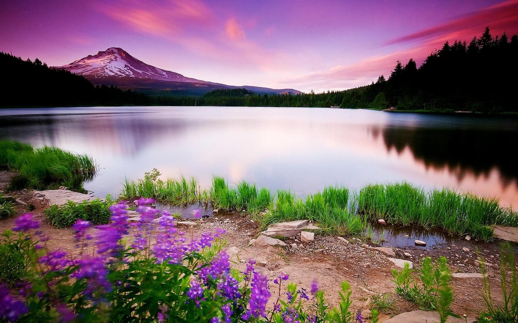 Elegant nature background front lake HD wallpaper download