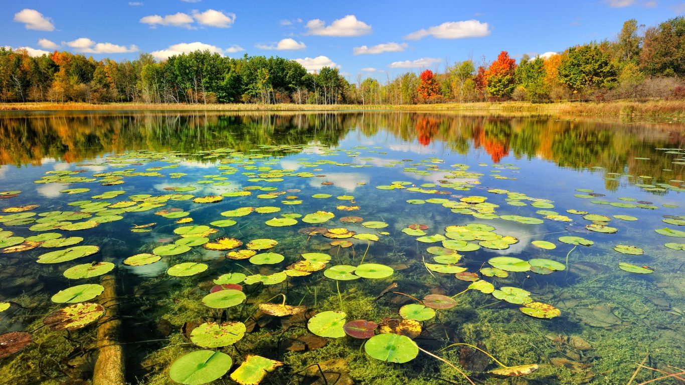 Beautiful Lake Scenery Autumn Wallpaper 2560x1600, Wallpaper13.com