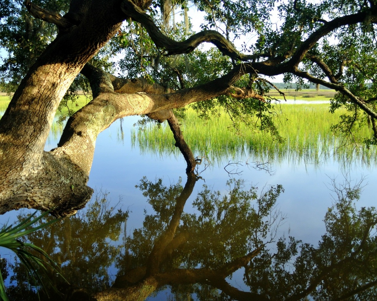 Summer Lake desktop PC and Mac wallpaper