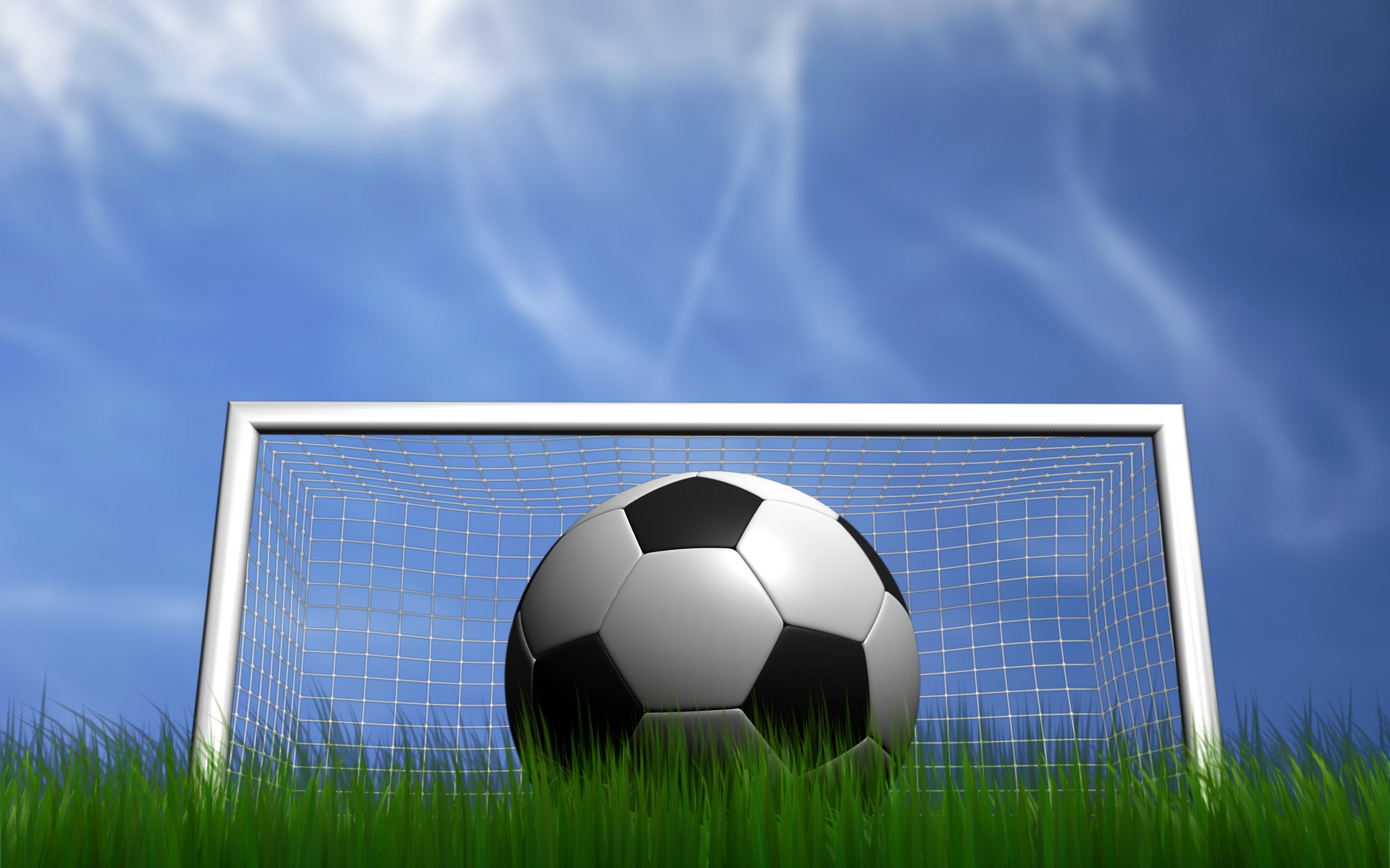 Wallpaper White and Black Soccer Ball on Green Grass Field, Background Free Image