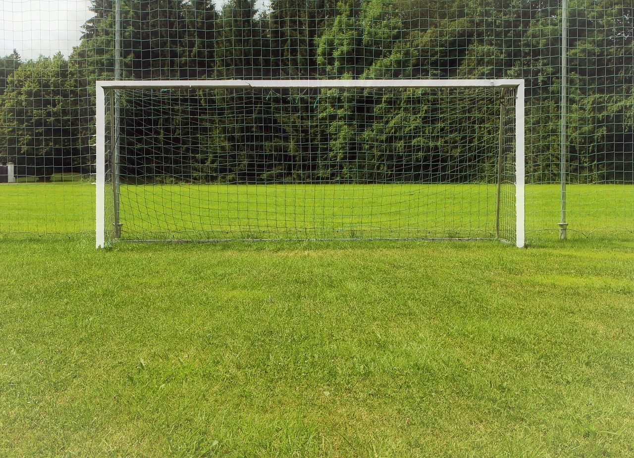 Gate Soccer Lawn