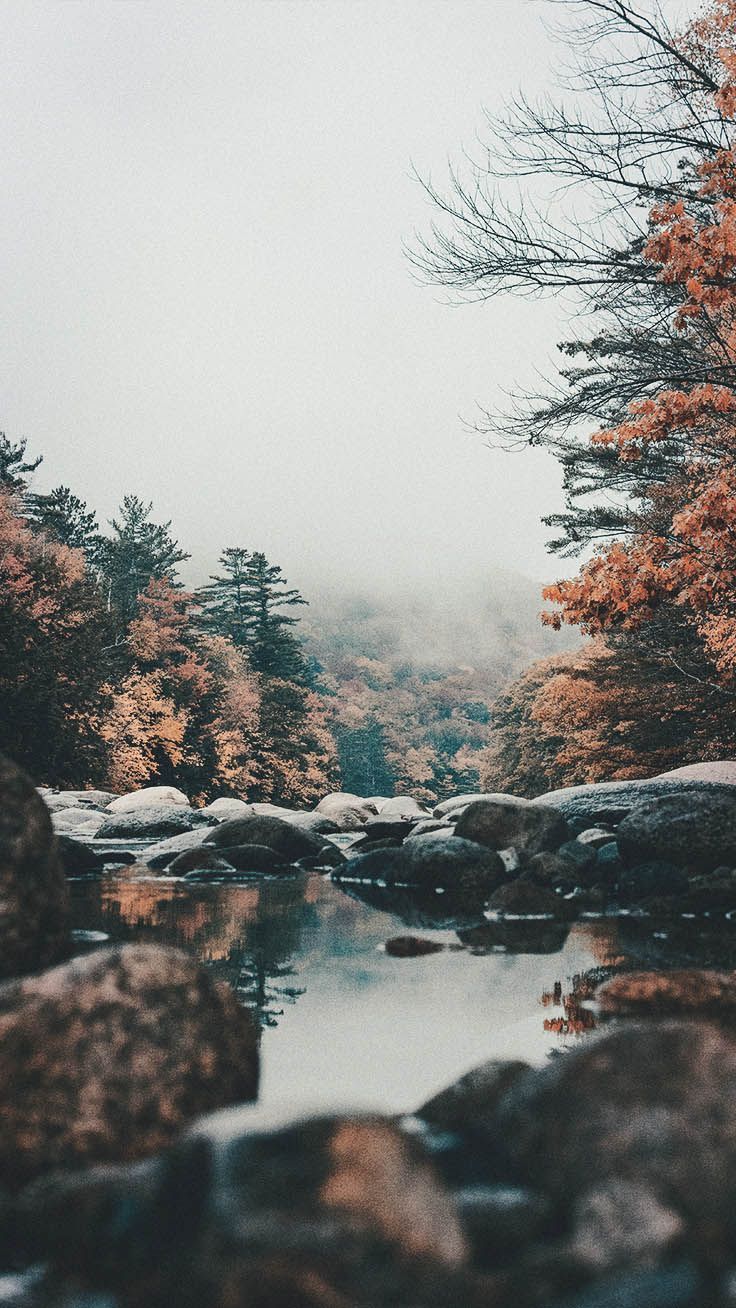 iPhone X Nature Wallpaper