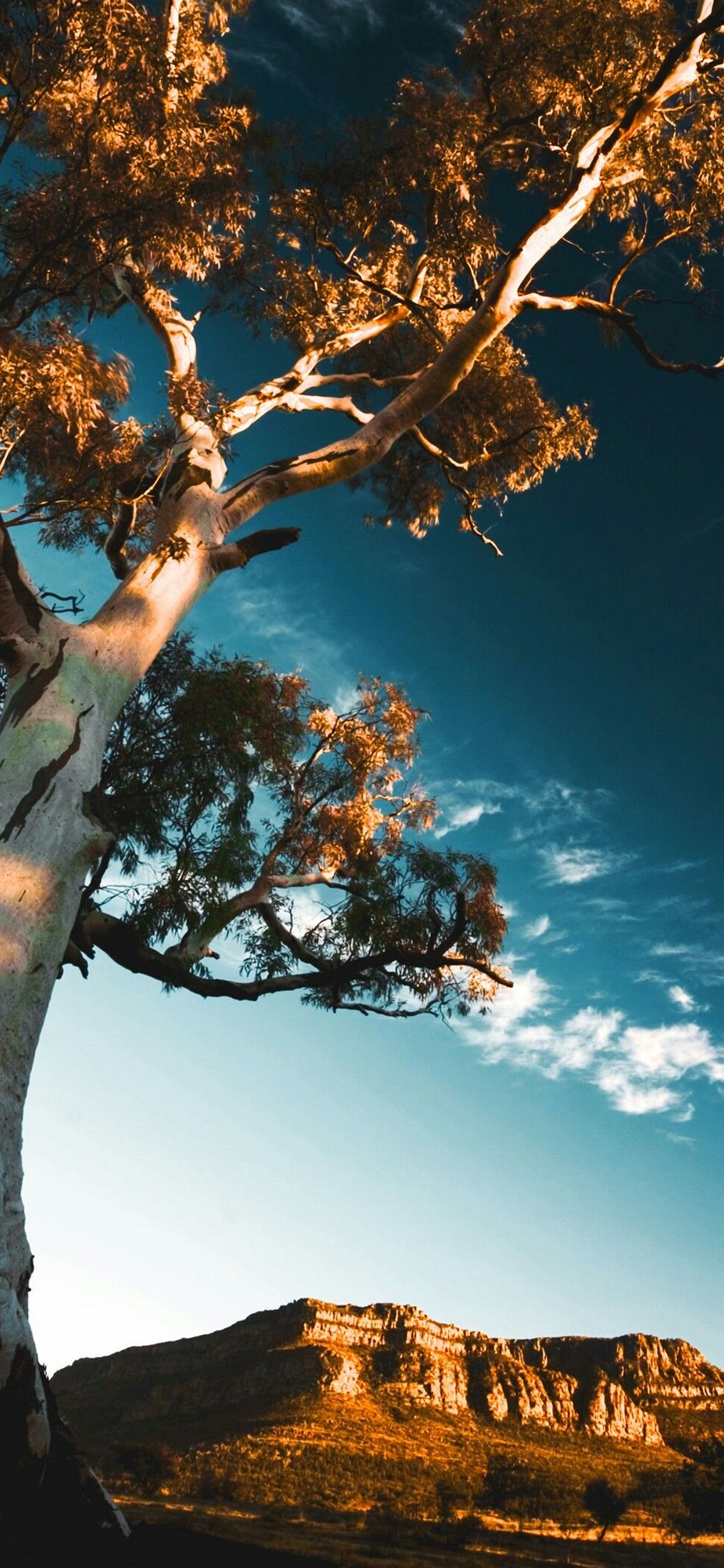 iPhone Nature Wallpaper