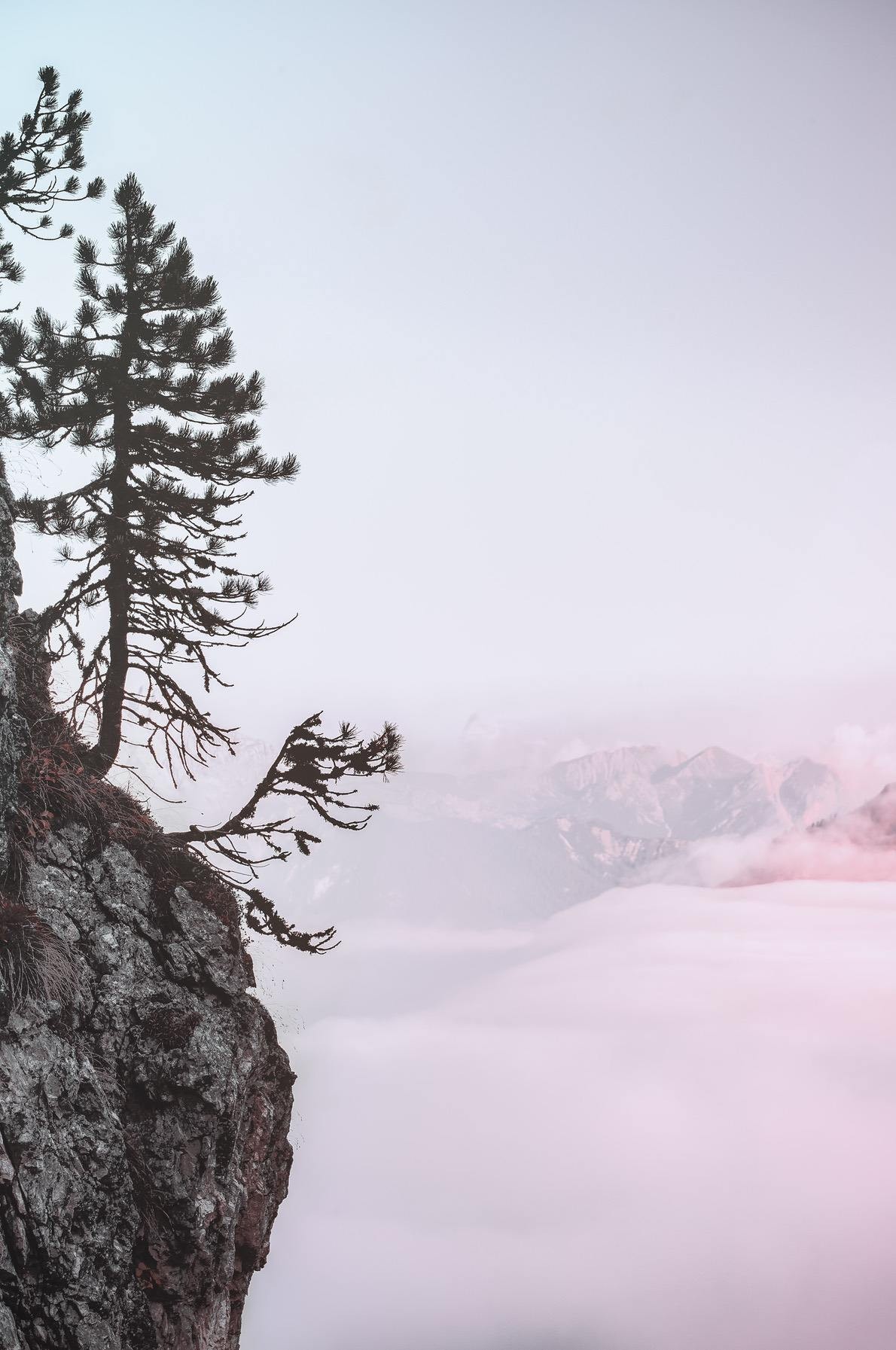 Free Beautiful Nature Wallpaper For iPhone That You'll Love