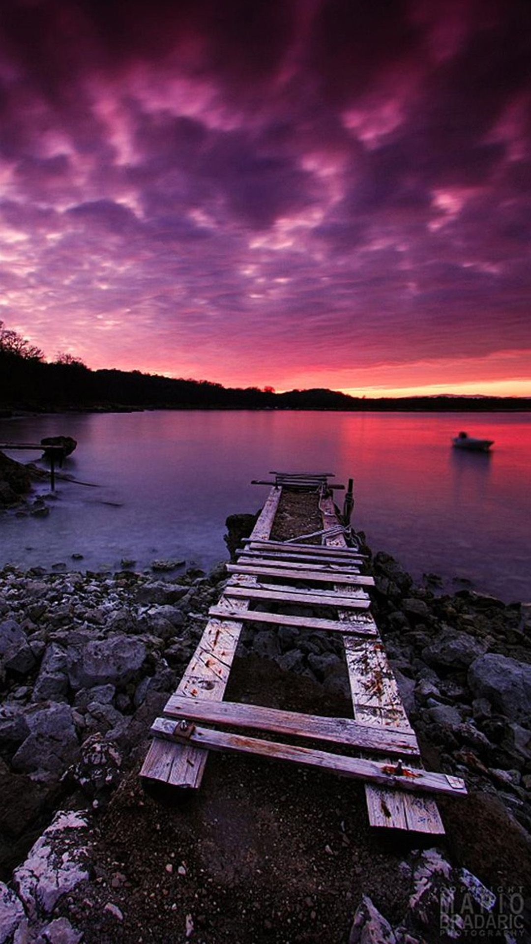 Purple Nature iPhone Wallpaper