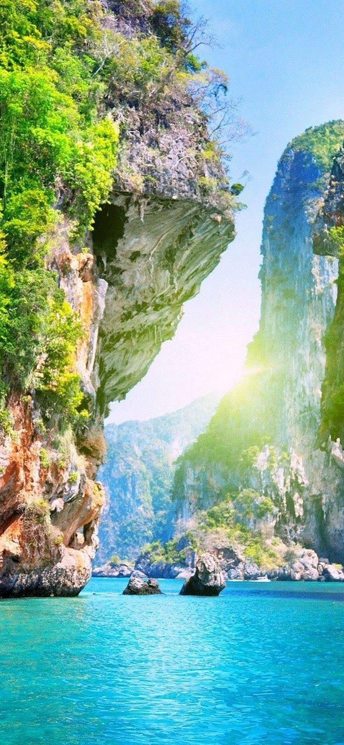 iPhone Nature Wallpaper