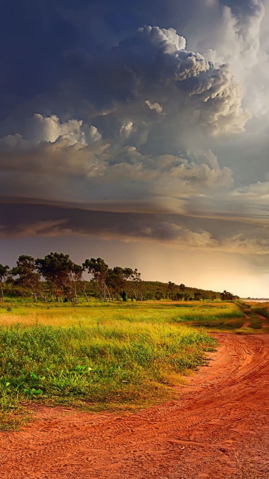 Сool Nature iPhone Picture