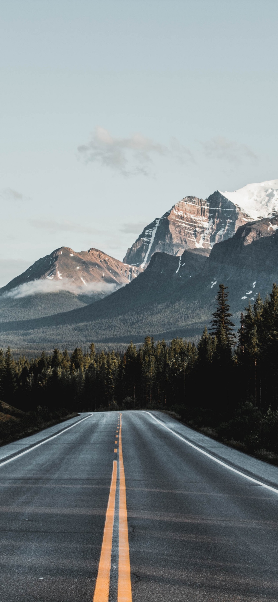 Nature IPhone Wallpaper, Free Background for IPhone X, XS, 11 Pro, Lock Screen Wallpaper 1125x2436