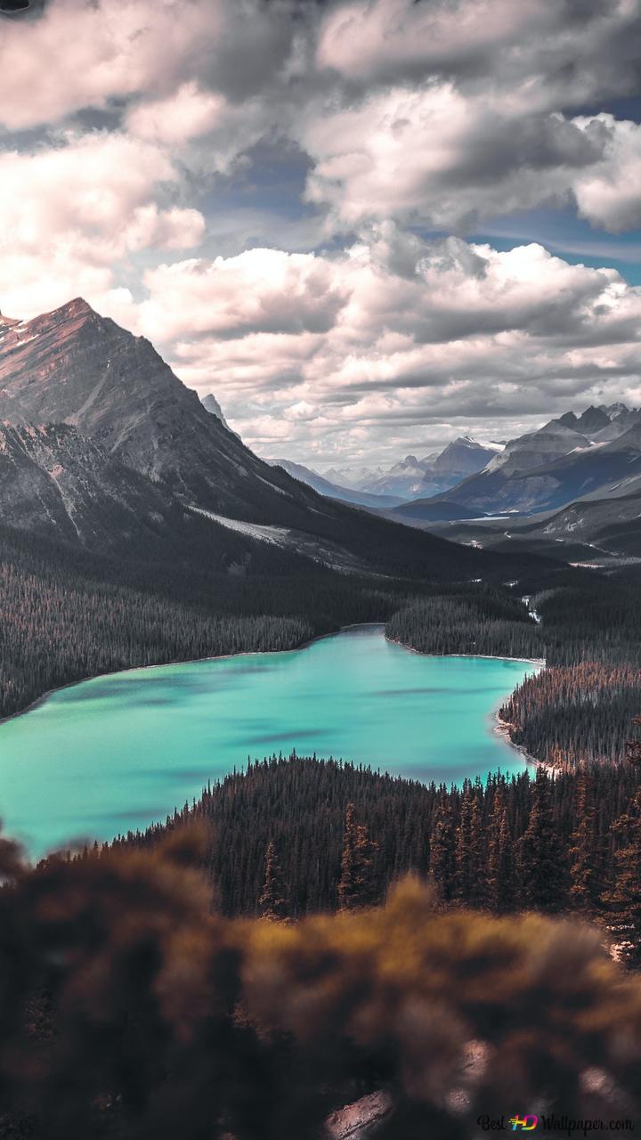 Scenic photo of lake surrounded by trees 2K wallpaper download