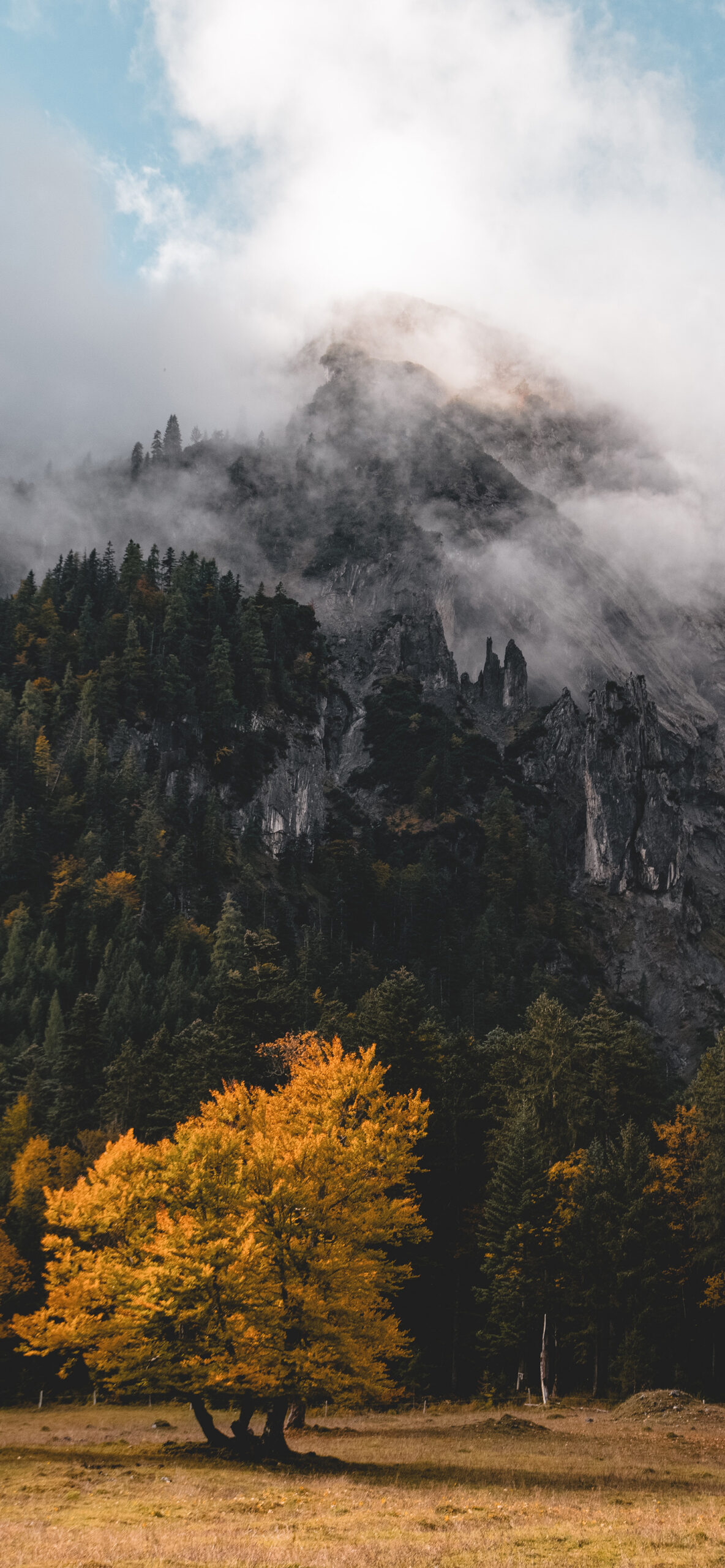 Nature Wallpaper for iPhone 11, Pro Max, X, 8, 7, 6