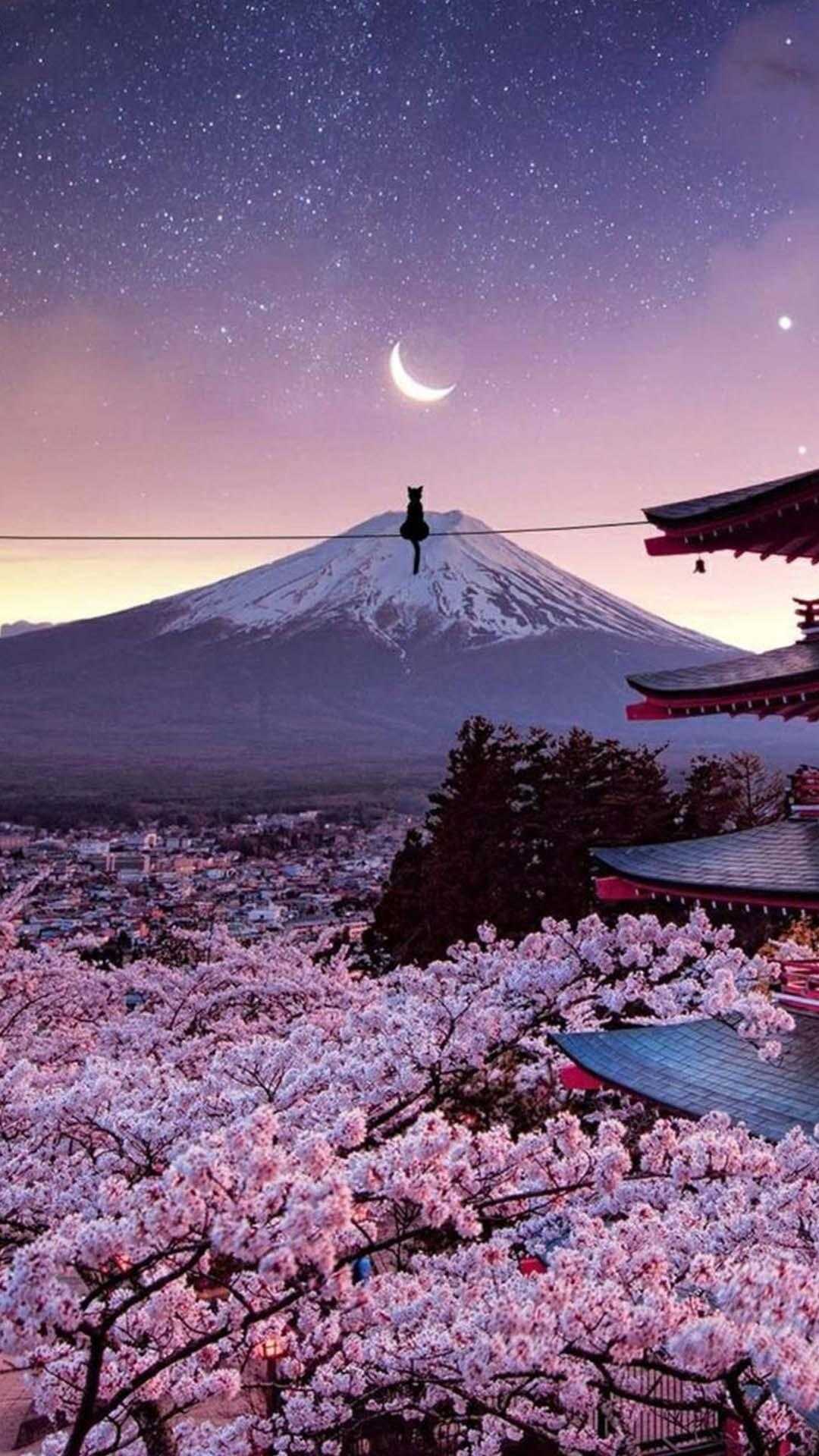 Japan Wallpaper