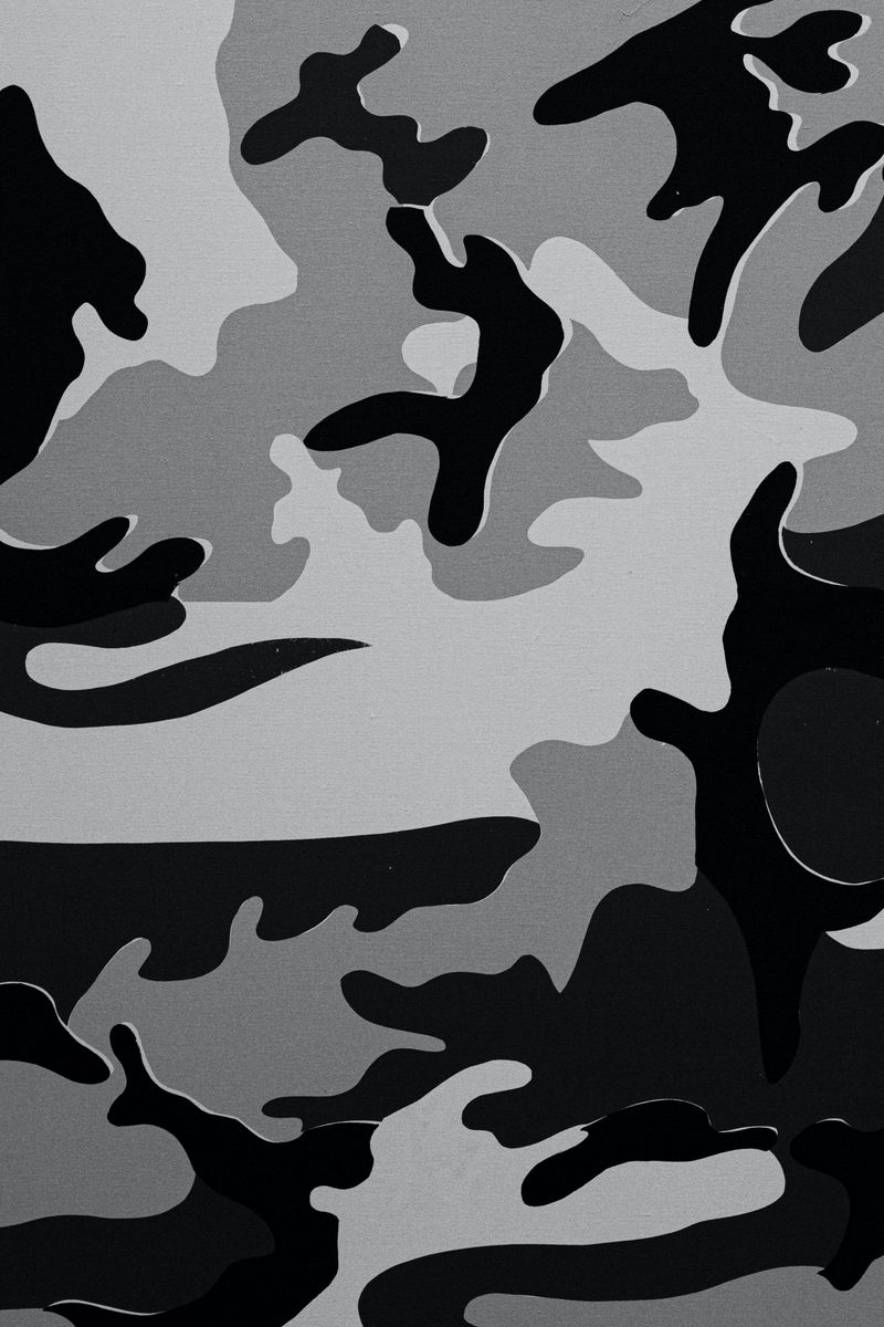 Download Wallpaper 800x1200 Camouflage, Spots, Army, Texture, Black And White Iphone 4s 4 For Parallax HD Background