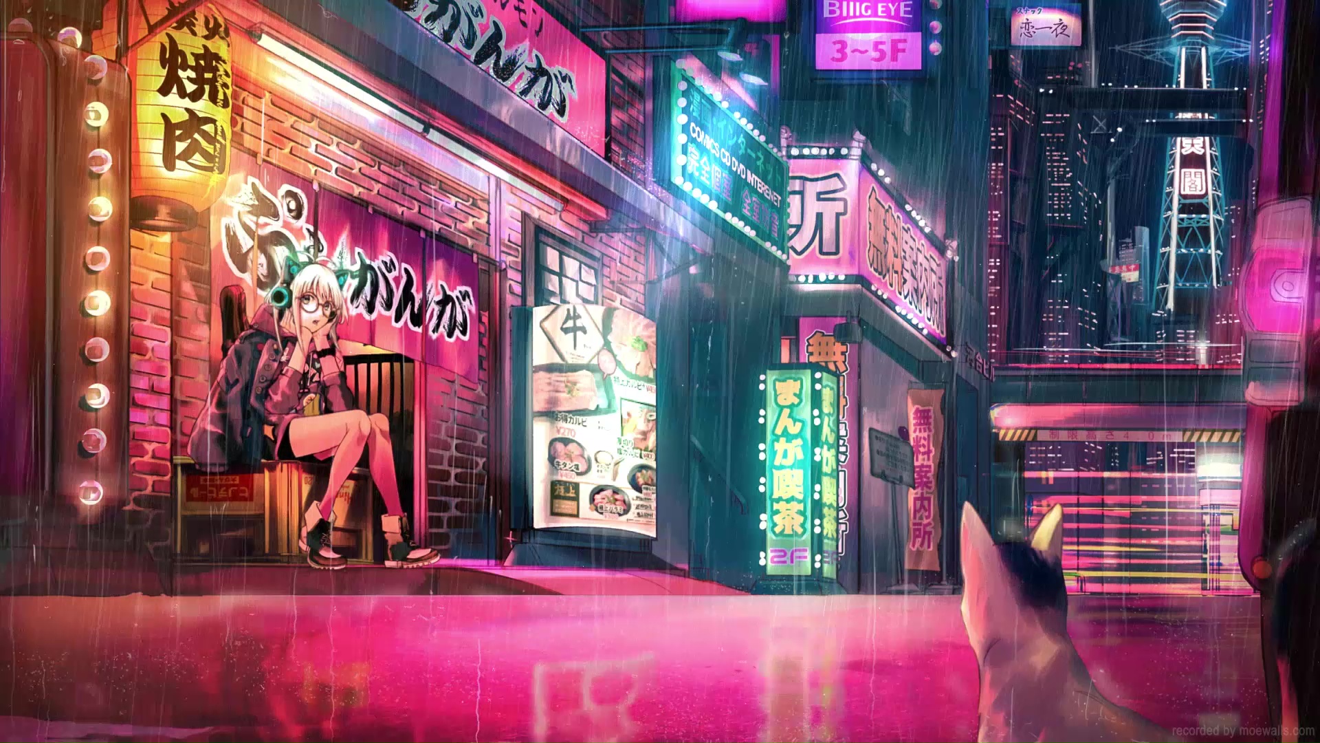 Cyberpunk Anime Girl And Cat In The Rain Live Wallpaper