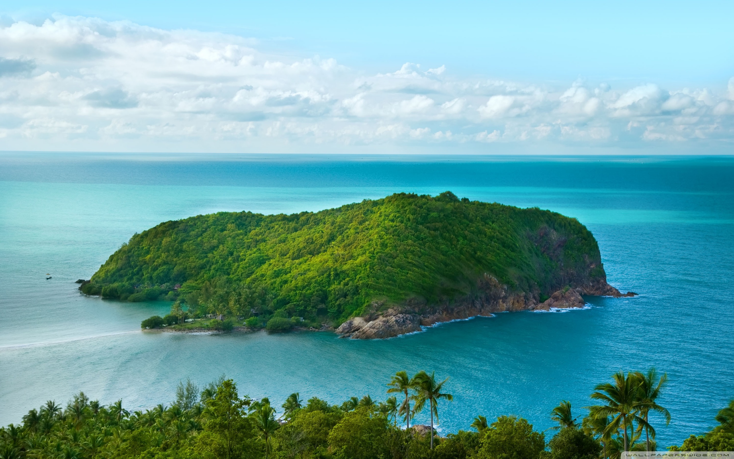 Island Green Wallpaper