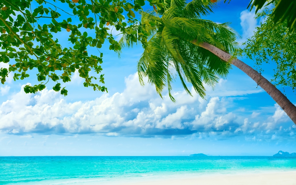 Exotic Summer Wallpapers - Wallpaper Cave