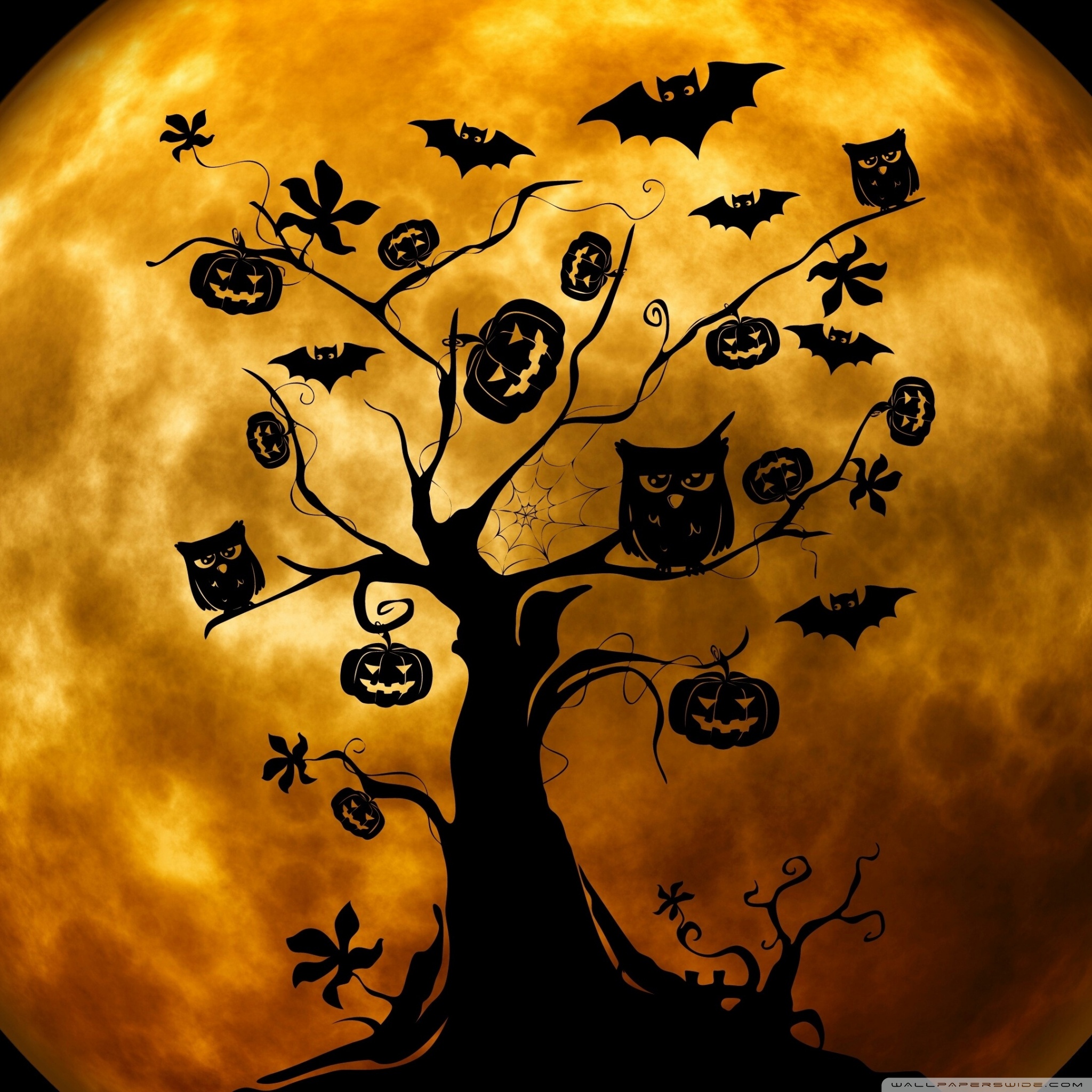 Free download Halloween Owls and Bats Orange 4K HD Desktop Wallpaper for 4K [2048x2048] for your Desktop, Mobile & Tablet. Explore Halloween Owl Wallpaper. Cute Owl Wallpaper, Owl City