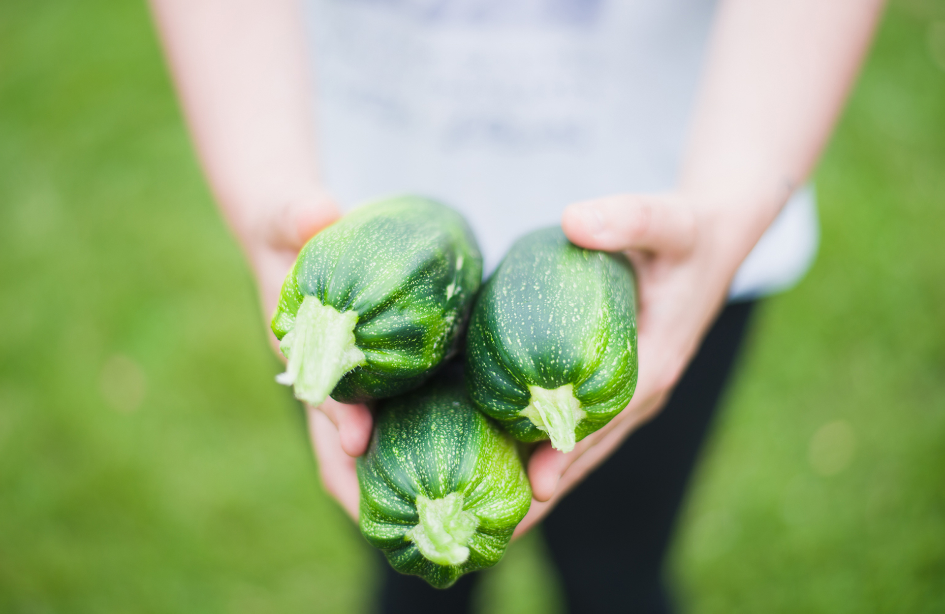 Close Up of Woman Holding Vegetables · Free