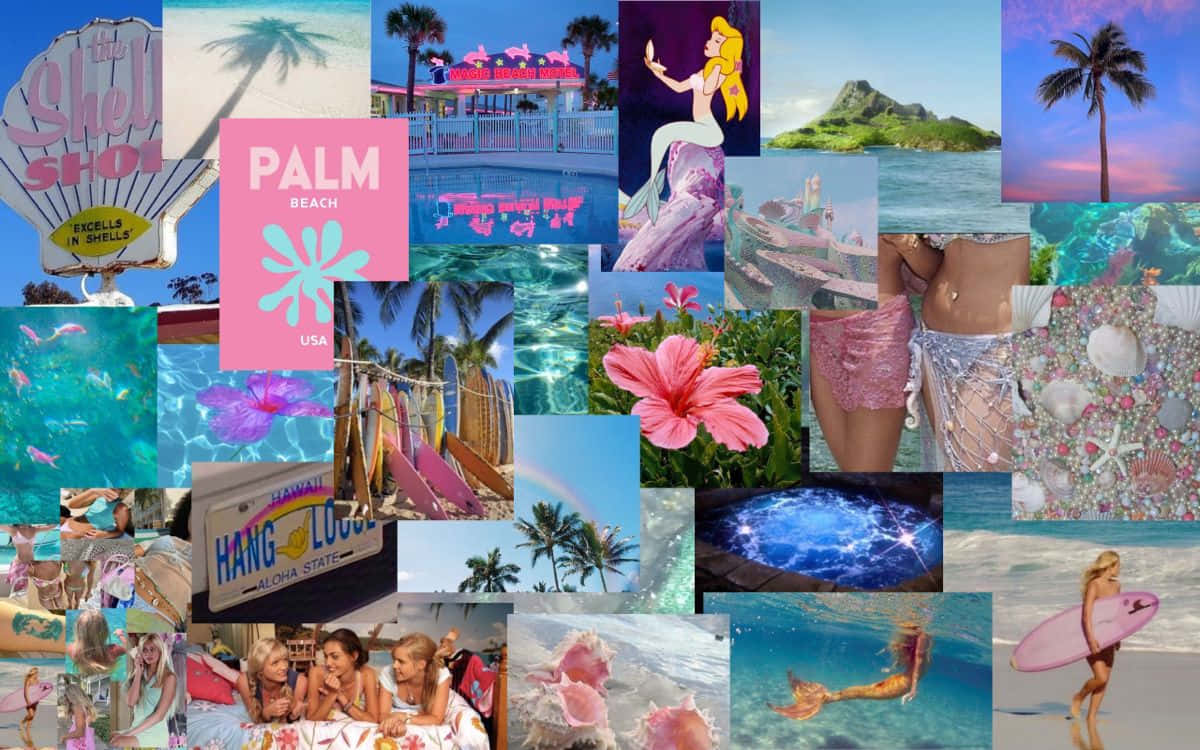 Download Palm Beach Collage Wallpaper