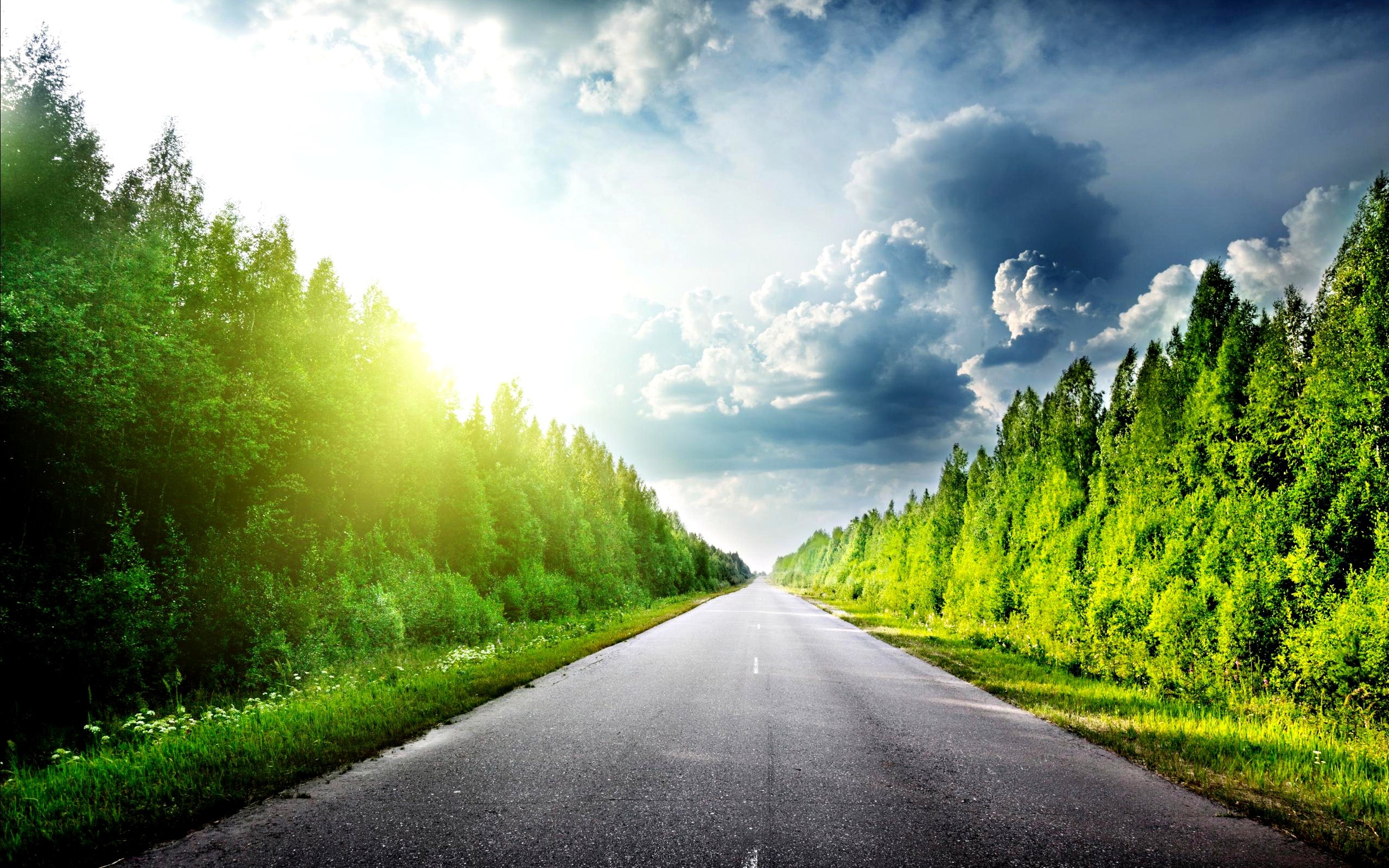Wallpaper, road, summer, trees 2560x1600