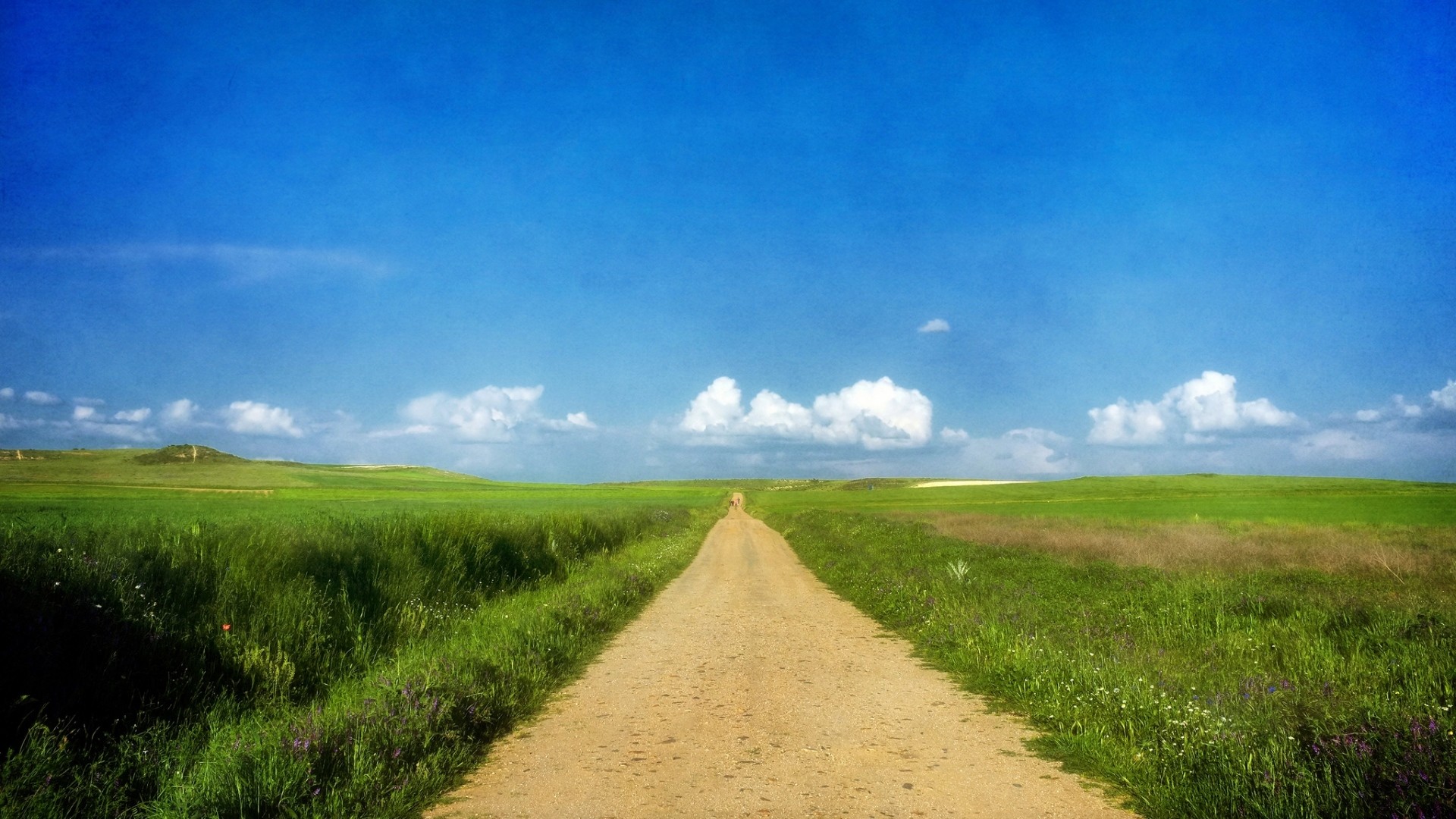 Wallpaper road, grass, summer, sun, sky, clouds