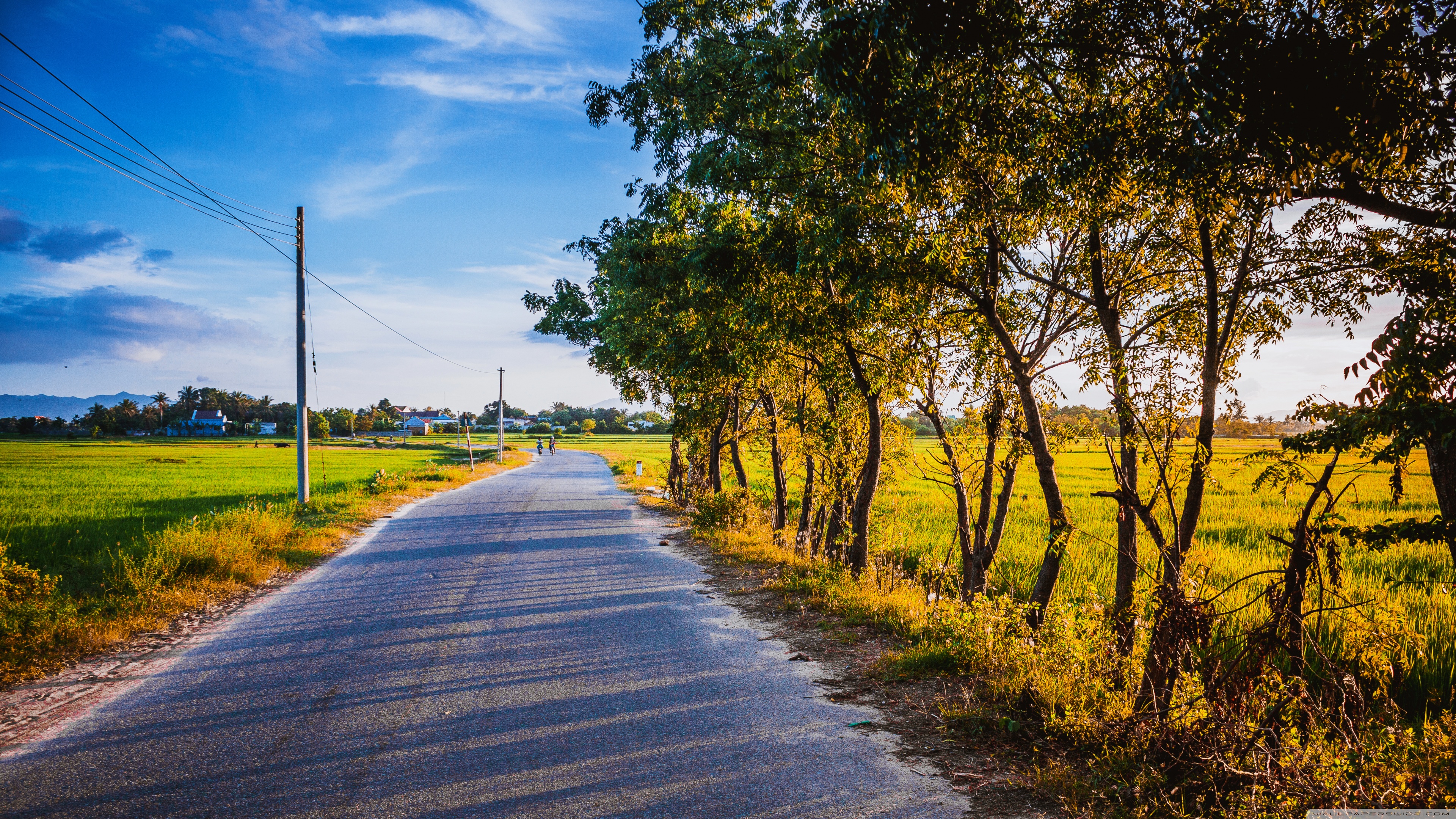 Summer Road Ultra HD Desktop Background Wallpaper for 4K UHD TV, Widescreen & UltraWide Desktop & Laptop, Tablet