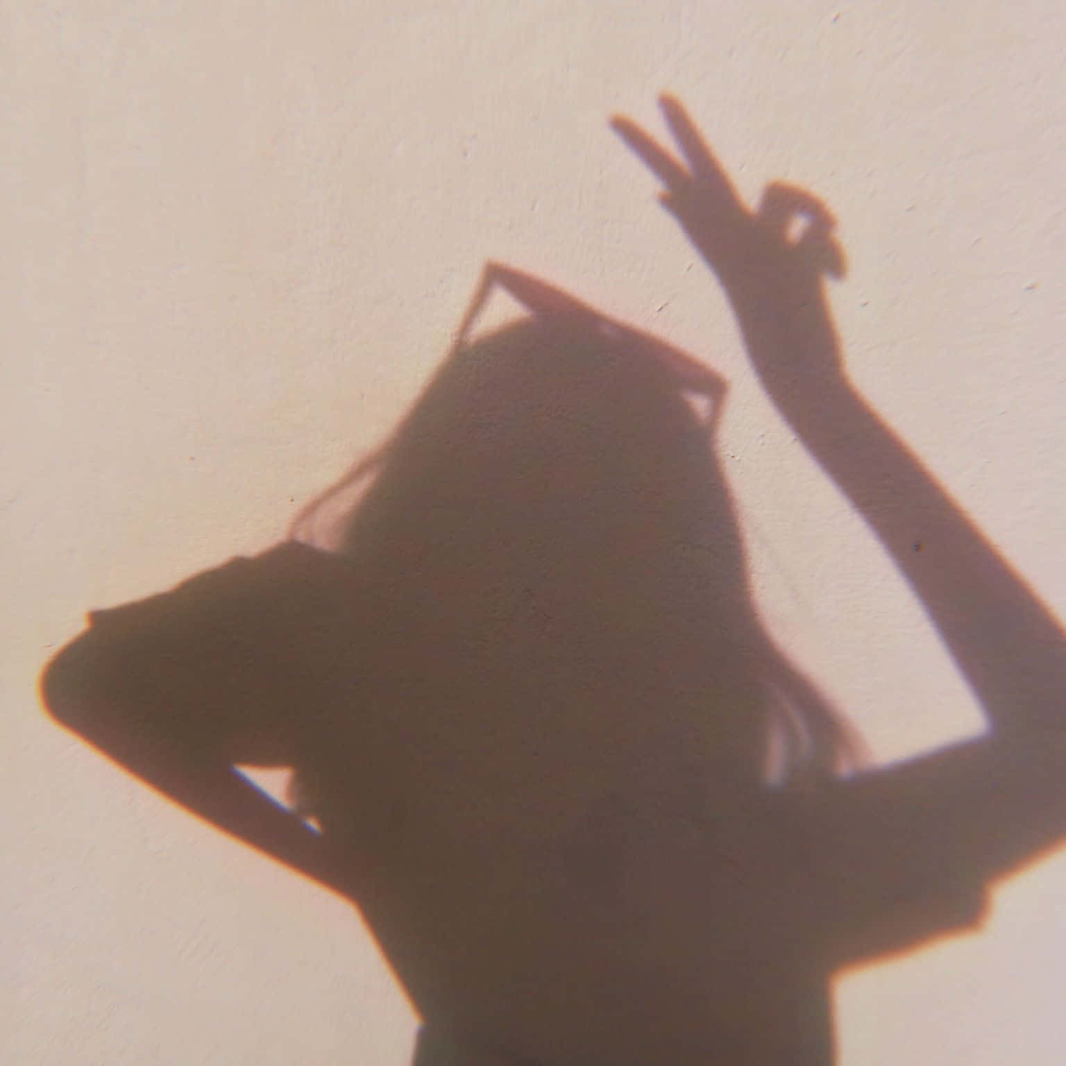 Download Pretty Girl Summer Shadow PFP Wallpaper