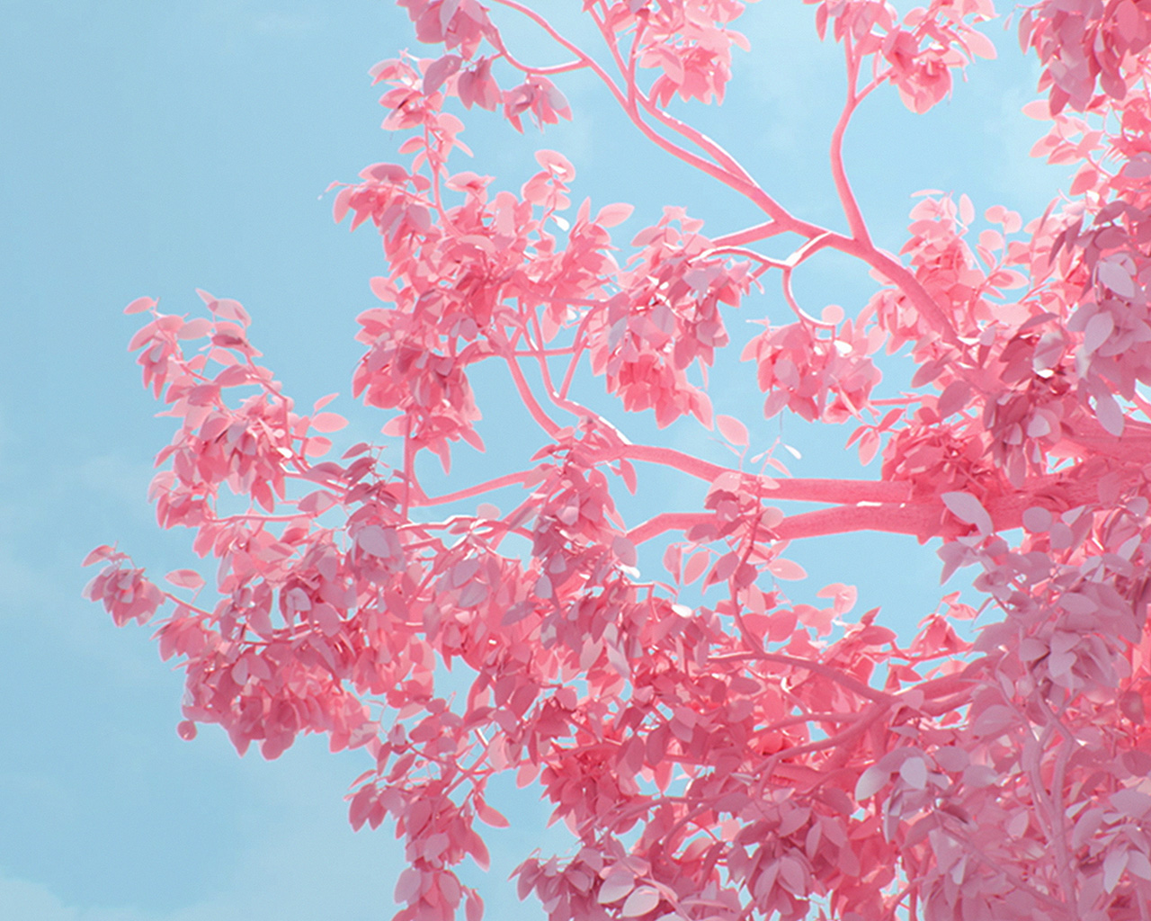 wallpaper for desktop, laptop. tree pink spring digital art illustration