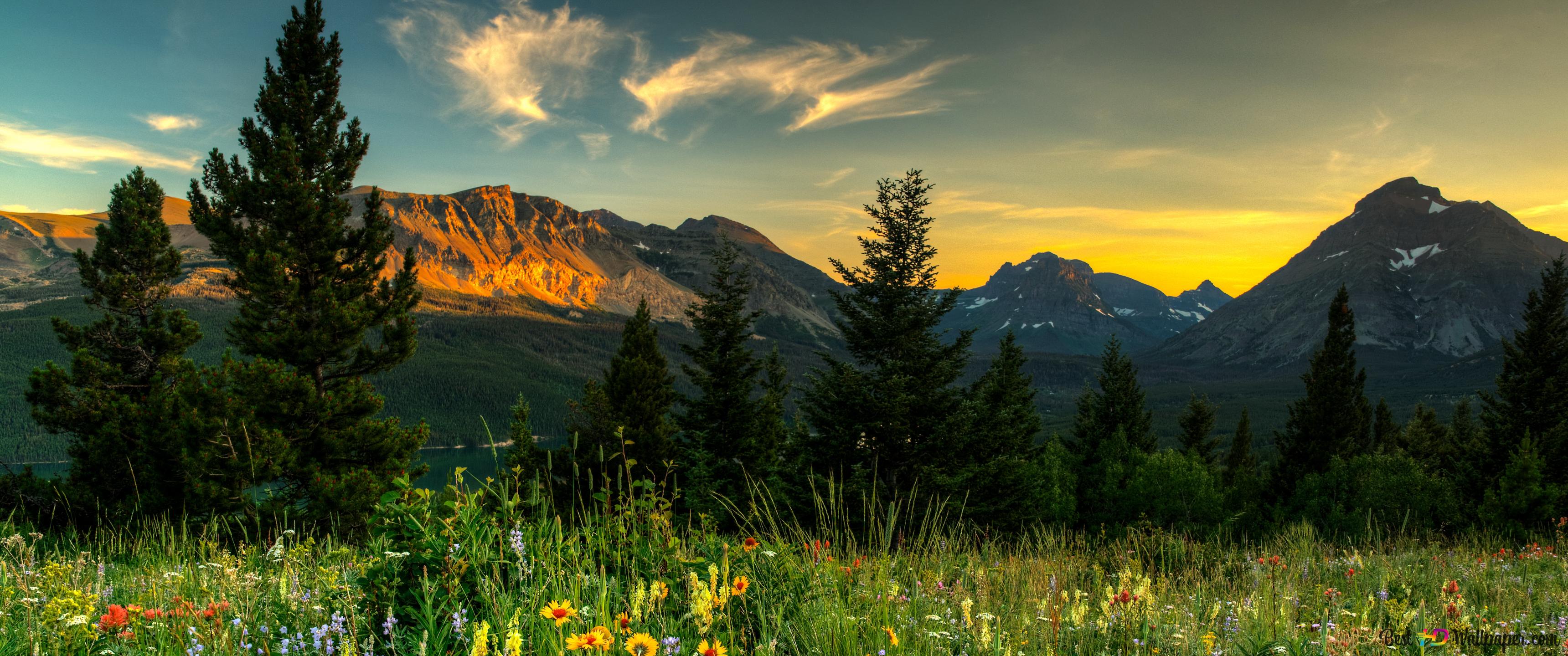 Springtime in the Mountains 6K wallpaper download