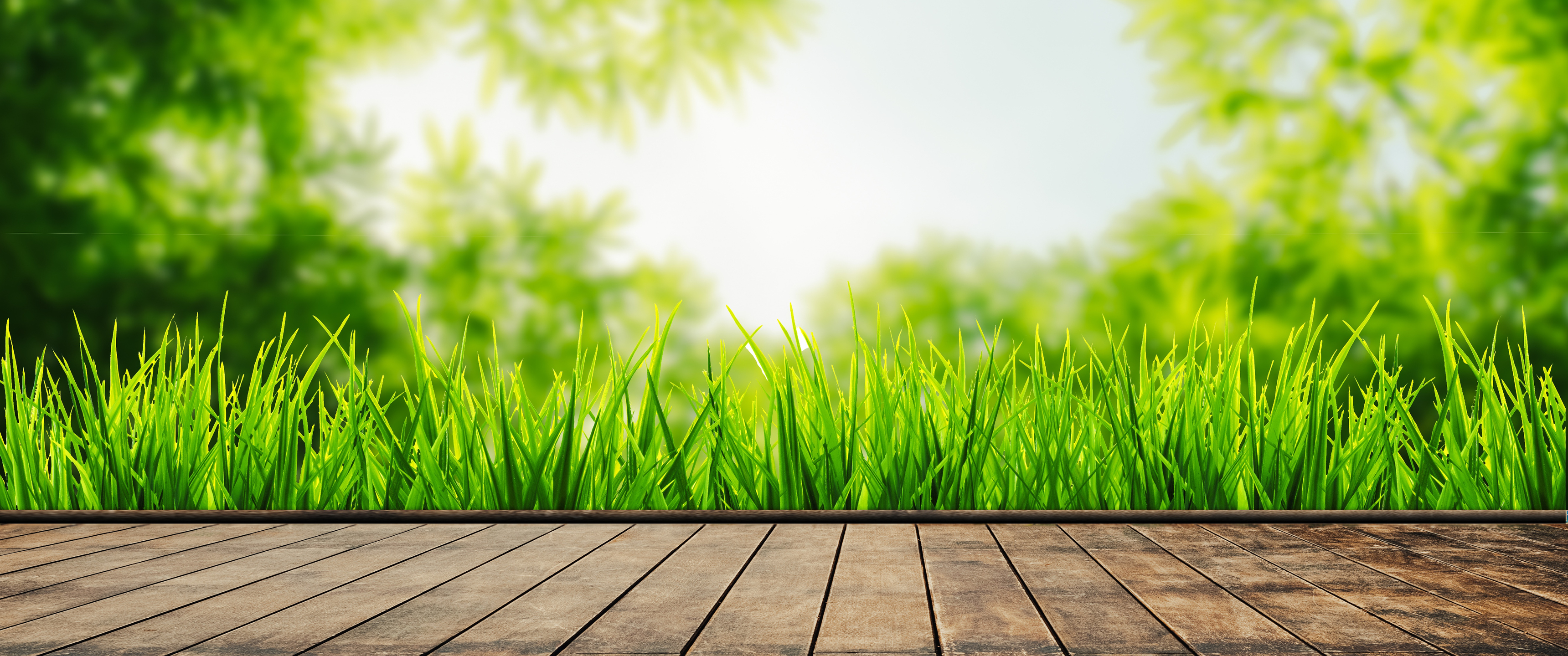 Download Summer grass, Summer, Grass, Summer, Leaves, Sun, Greenery, Green, Sunrise, Wood, Board, Boards, 2K, 3K, 4K, 5K Wallpaper in 3440x1440 Resolution