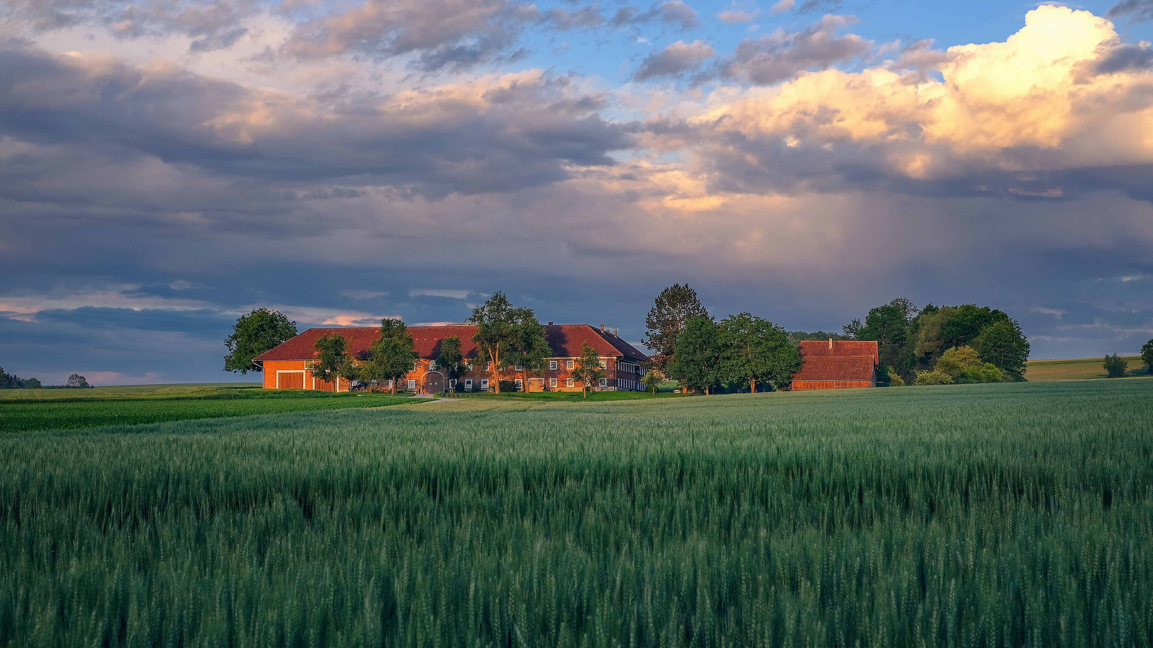 Farm 4K, House, Summer, Sky, Field, Cloud Gallery HD Wallpaper