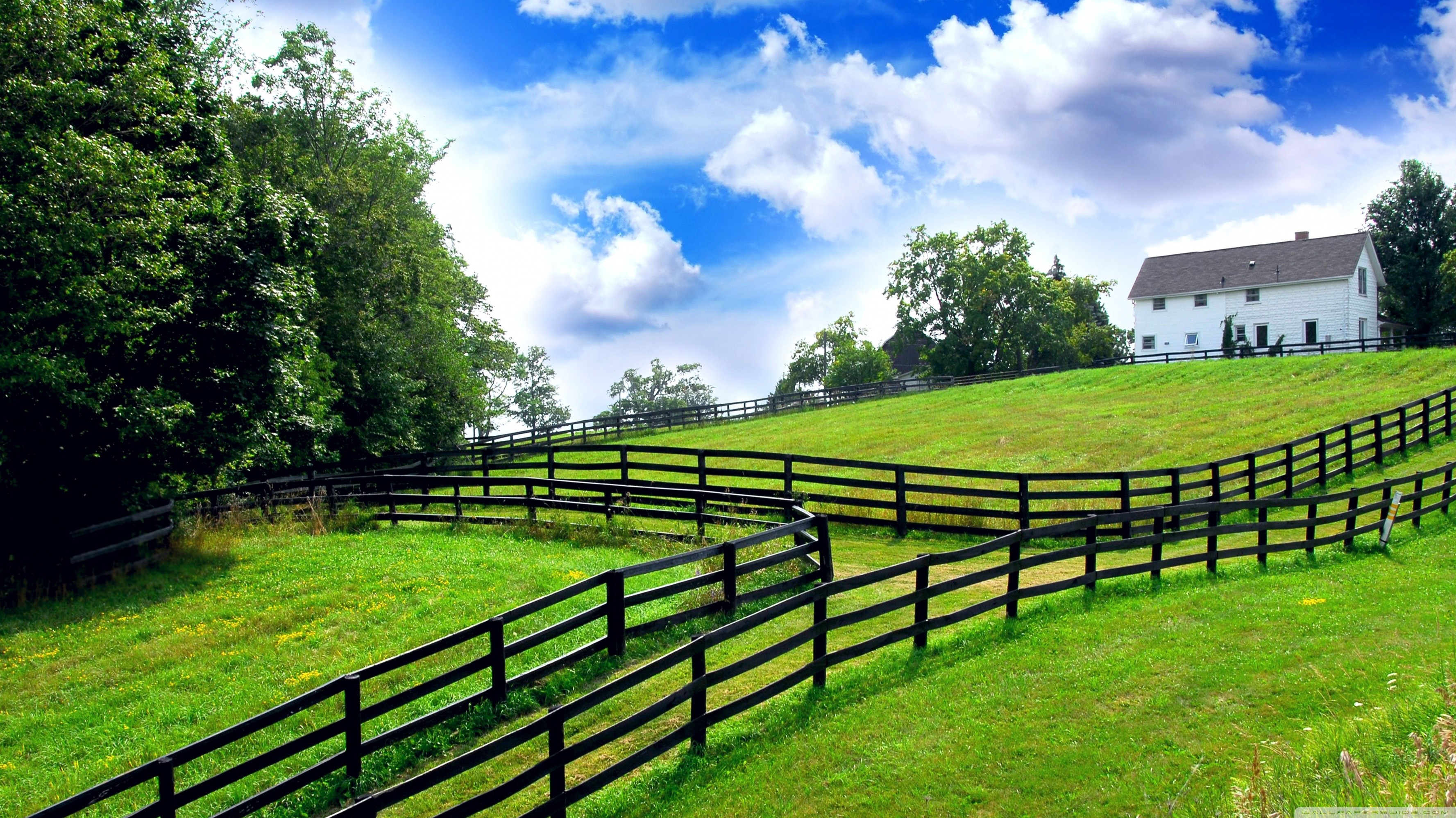 Farm Wallpaper