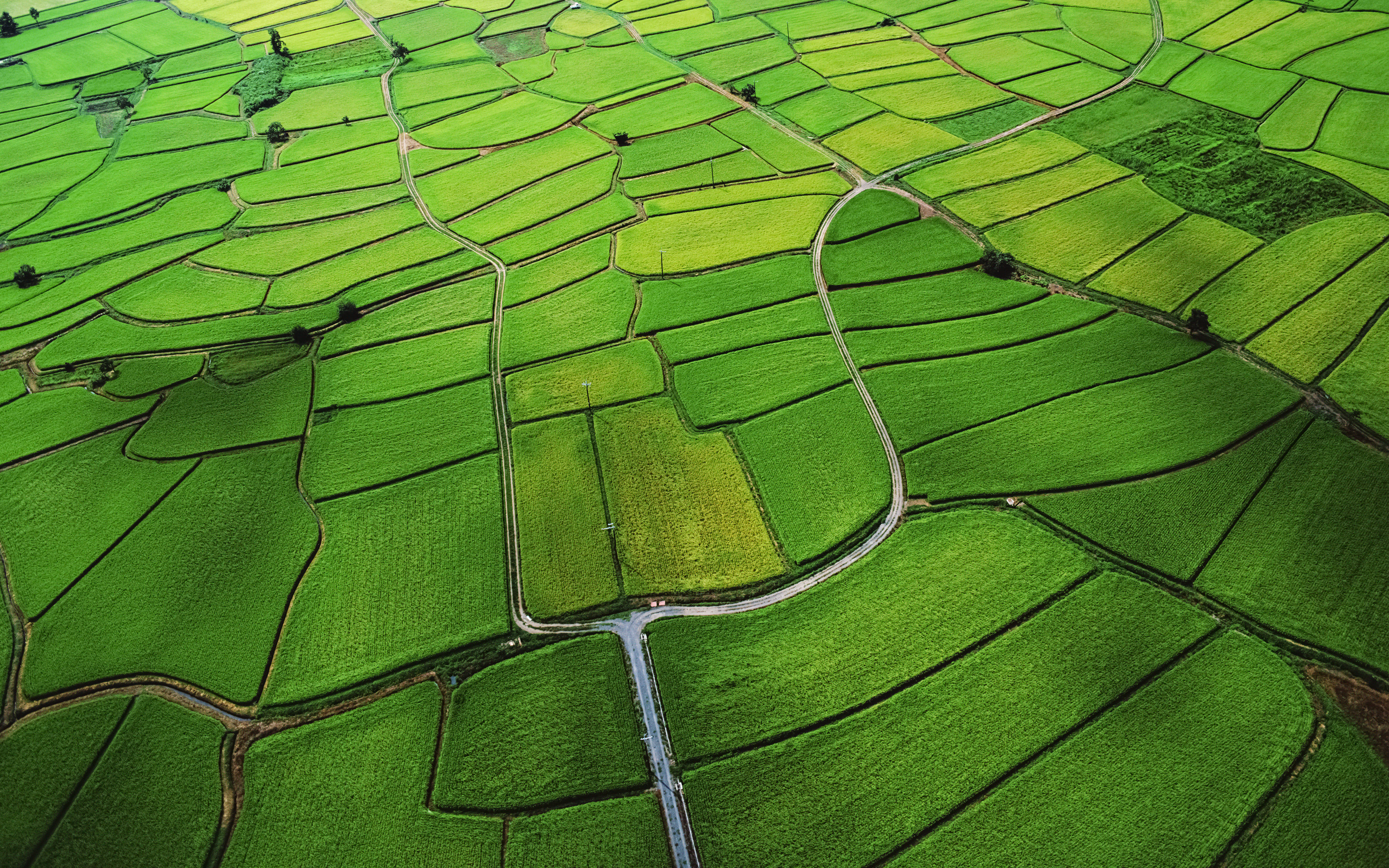 Agriculture Wallpaper 4K, Farm Land, Countryside, Nature