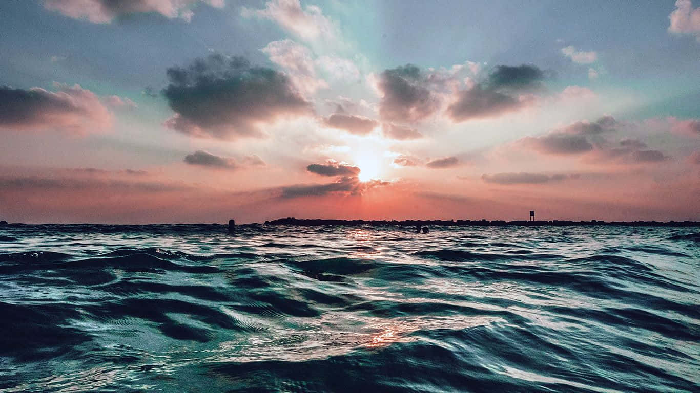 Download Embrace the summer season with a stunning laptop Wallpaper