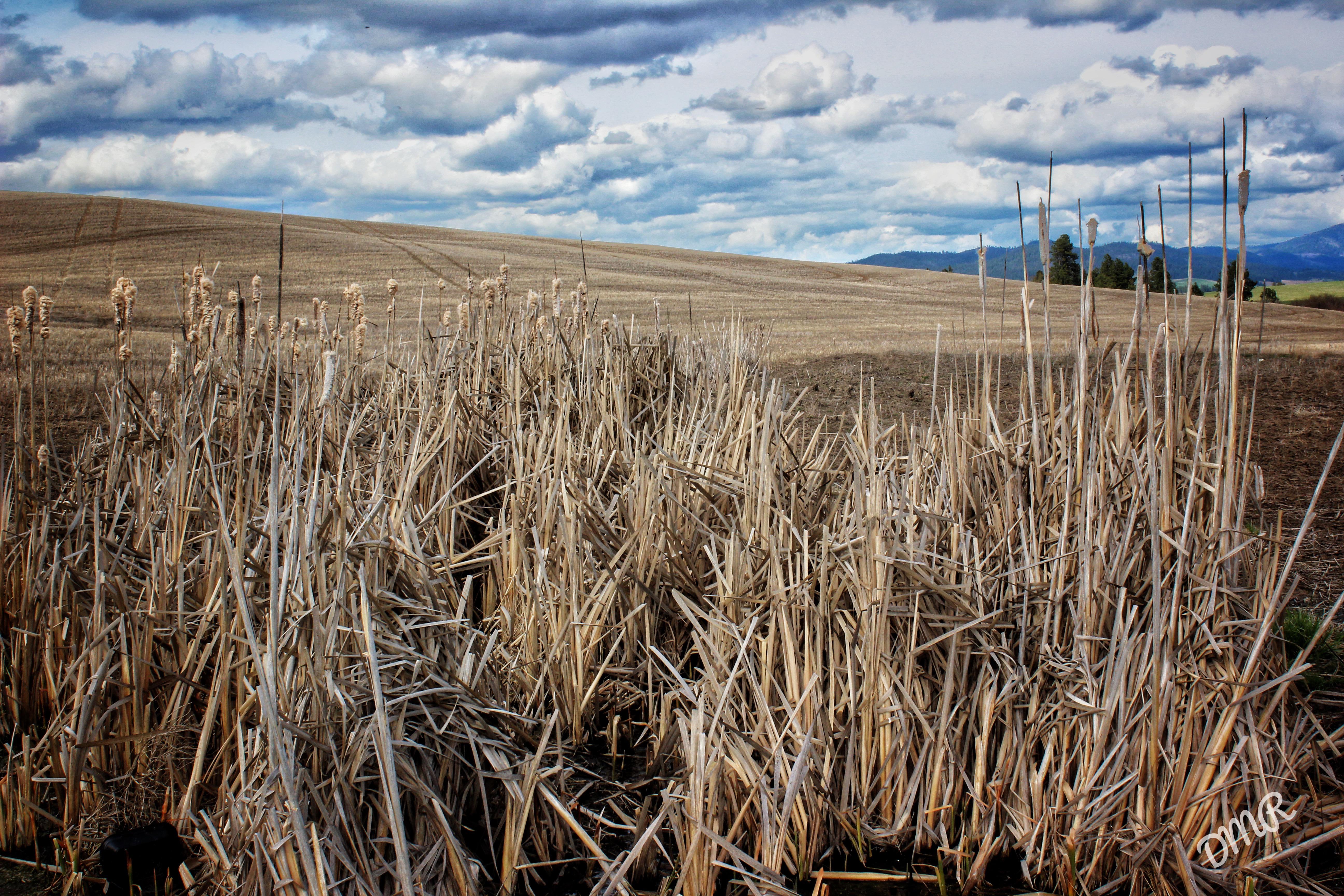 Farm 4K wallpaper for your desktop or mobile screen free and easy to download