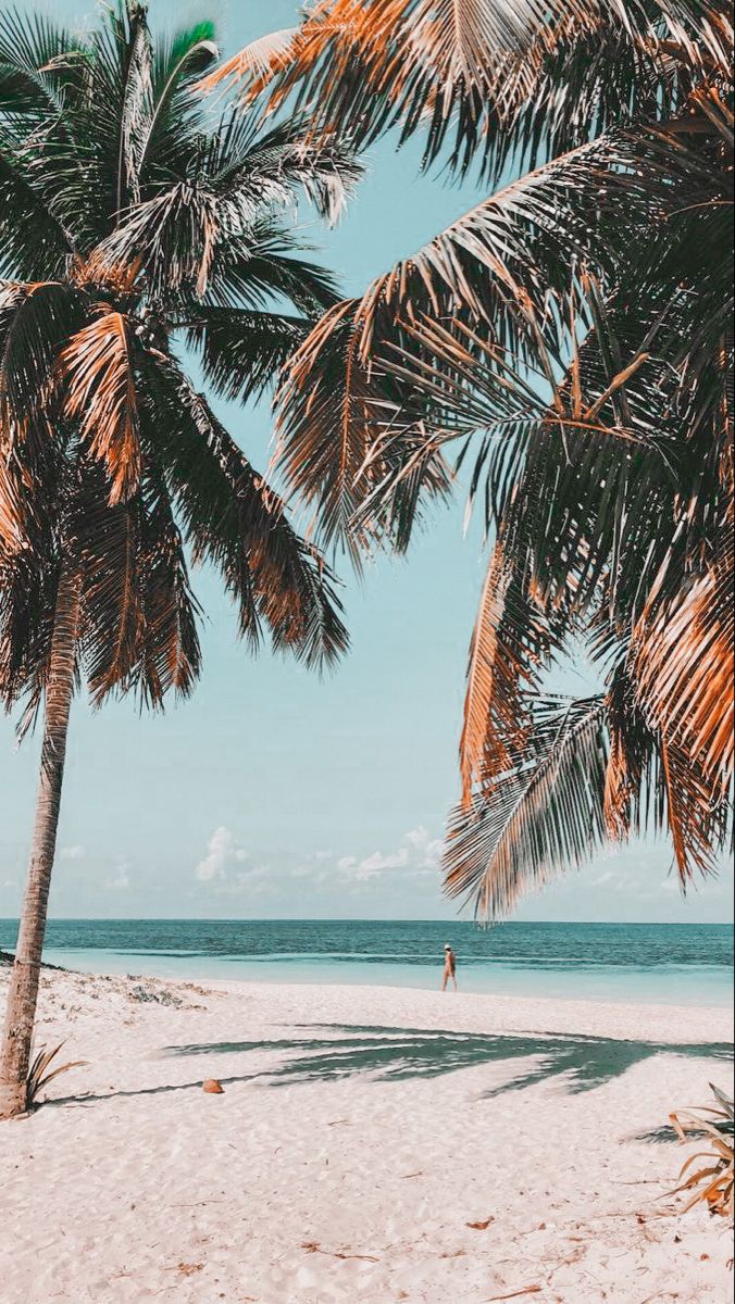 edits. Fotografi alam, Ilustrasi alam, Fotografi pantai