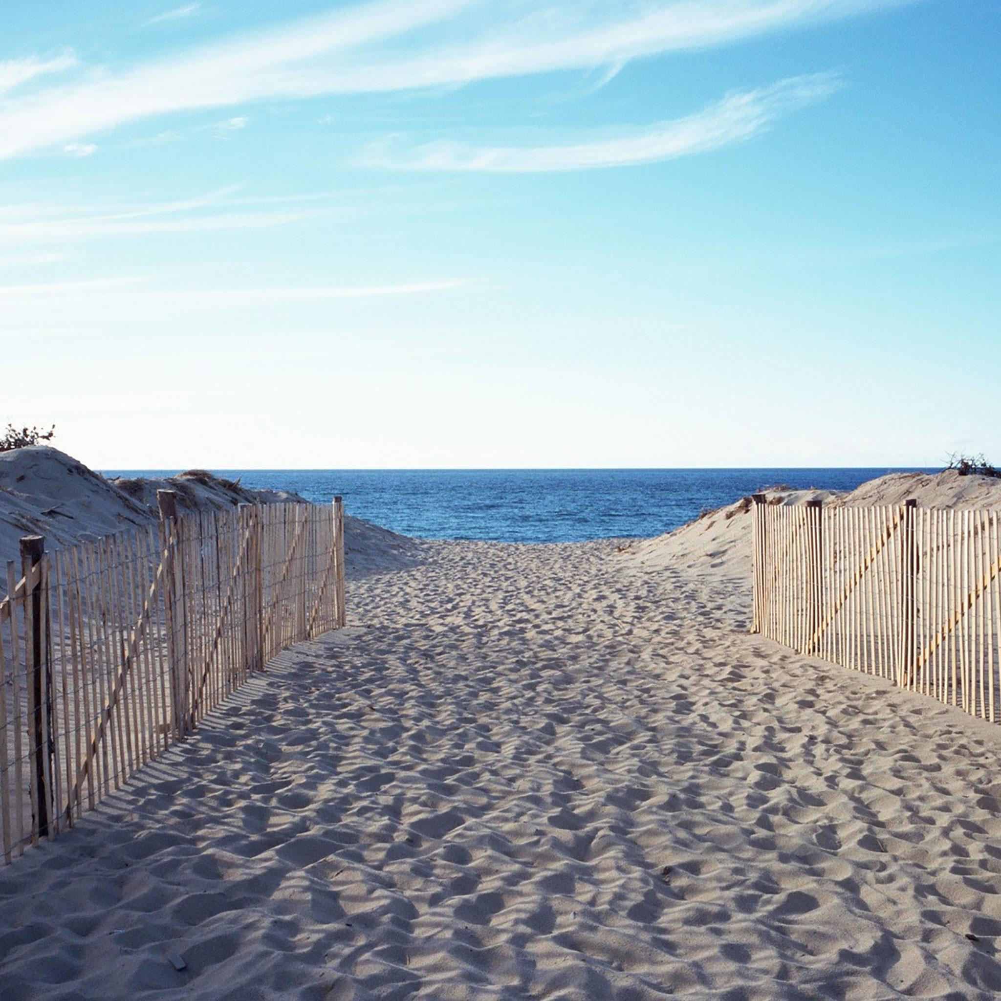 Summer iPad Wallpaper 22