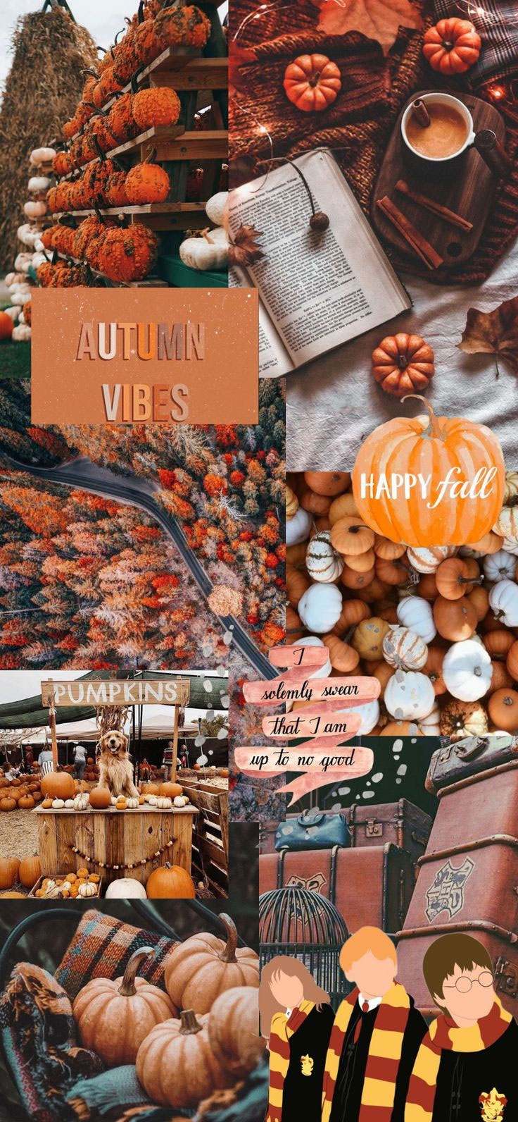 Autumn Collage Wallpaper, Autumn Vibes Wallpaper
