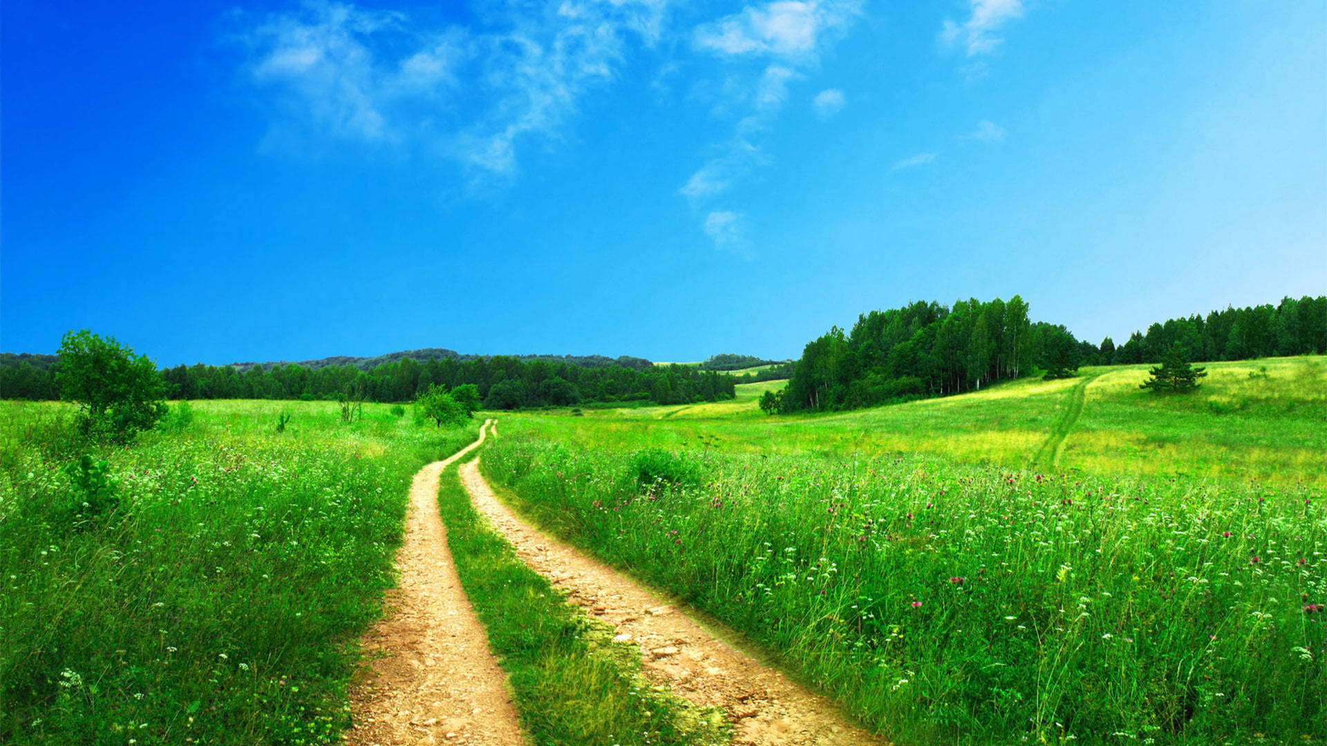 Country Summer Wallpaper